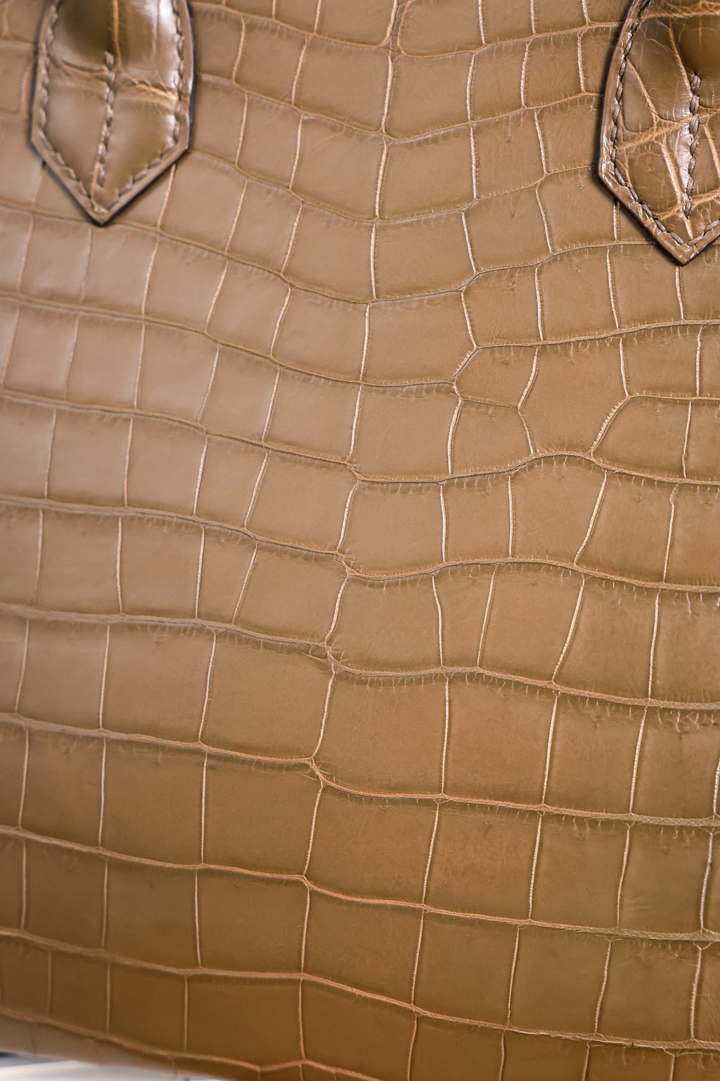 BK-2024 All Handmade Golden / Sliver Hardware  Etoupe Matte Porosus Crocodile leather