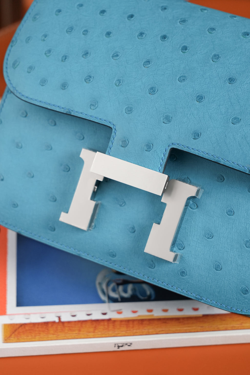 Constance- All Handmade Golden / Sliver Bleu Azteque Ostrich  leather