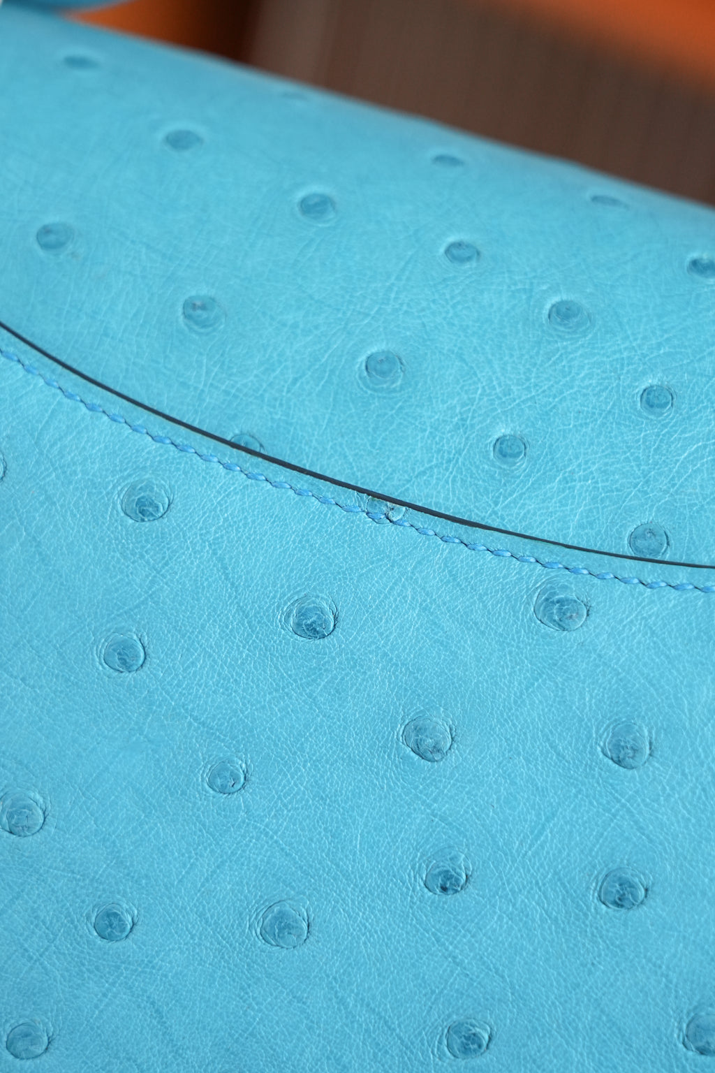 Constance- All Handmade Golden / Sliver Bleu Azteque Ostrich  leather