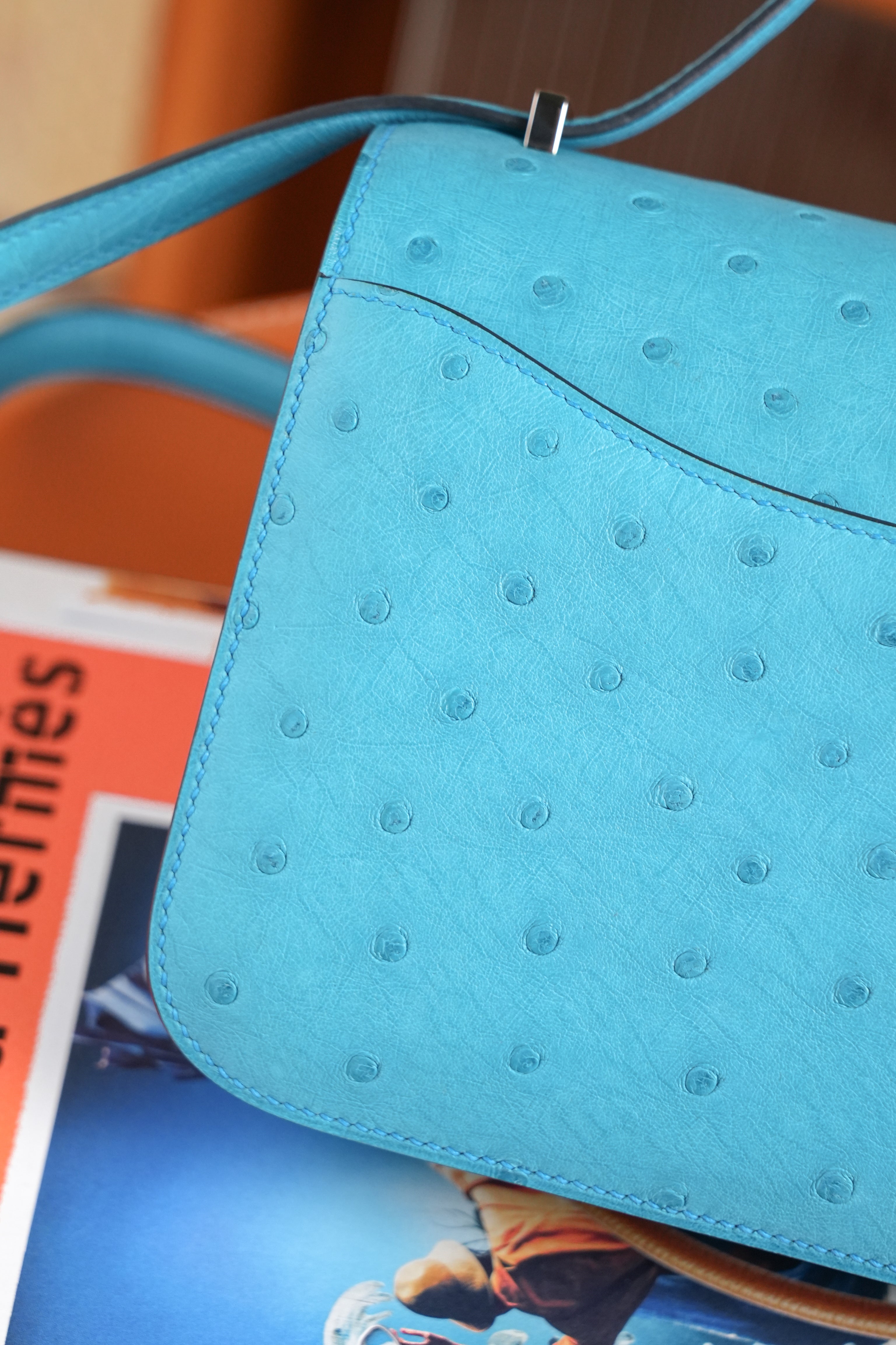 Constance- All Handmade Golden / Sliver Bleu Azteque Ostrich  leather