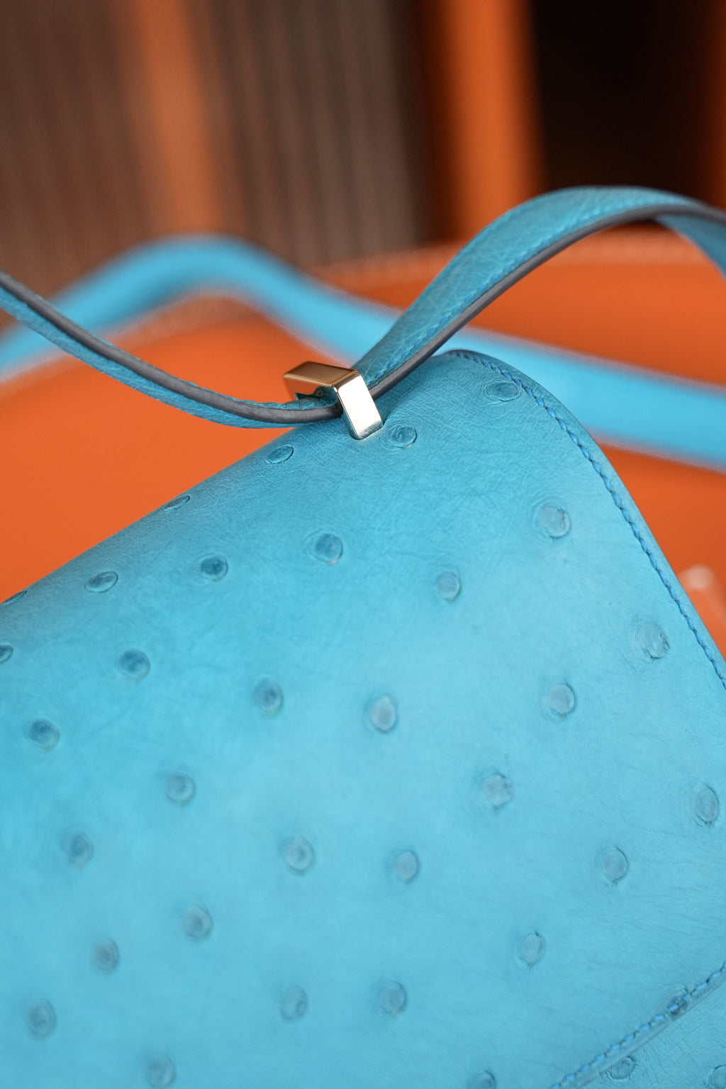 Constance- All Handmade Golden / Sliver Bleu Azteque Ostrich  leather