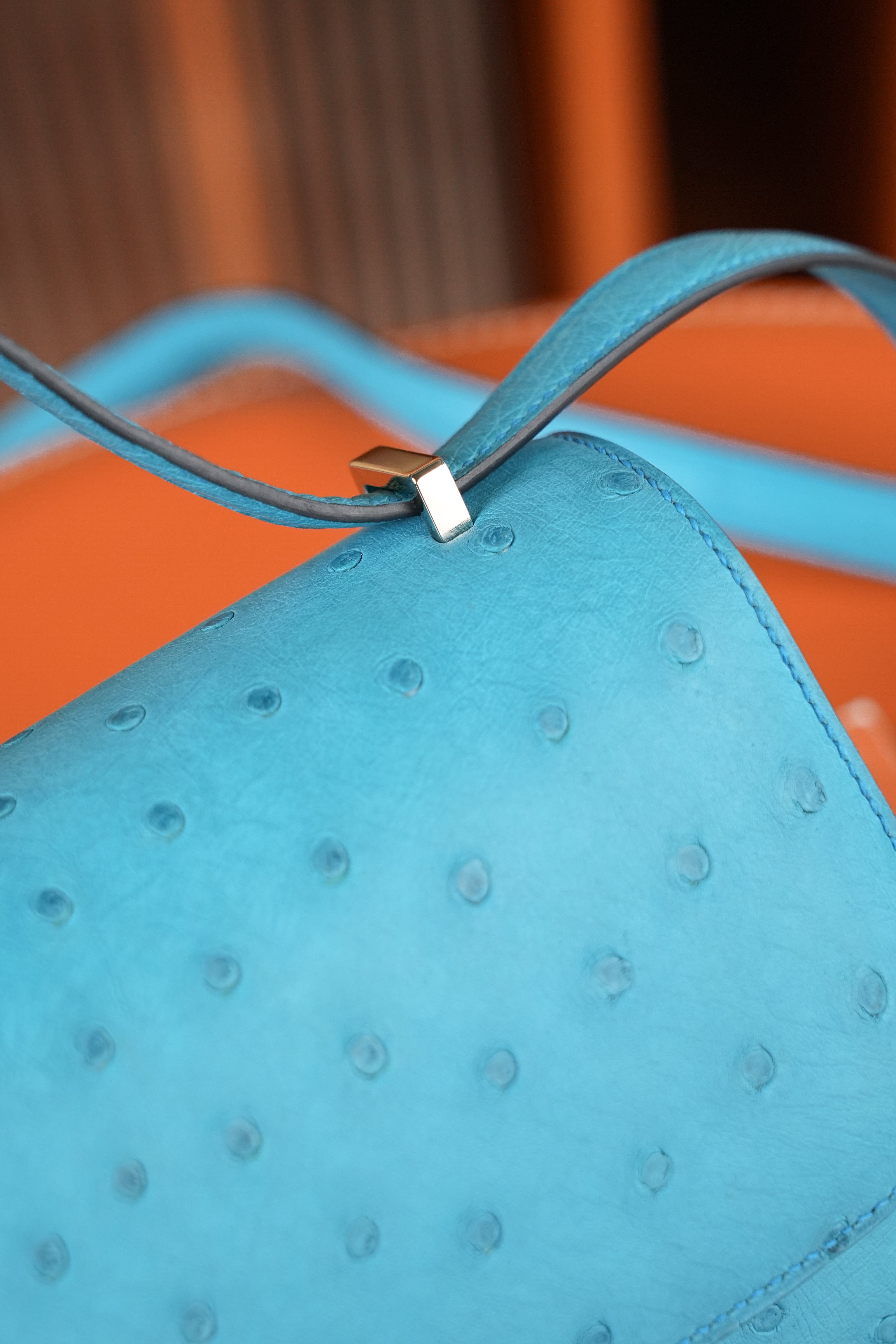 Constance- All Handmade Golden / Sliver Bleu Azteque Ostrich  leather