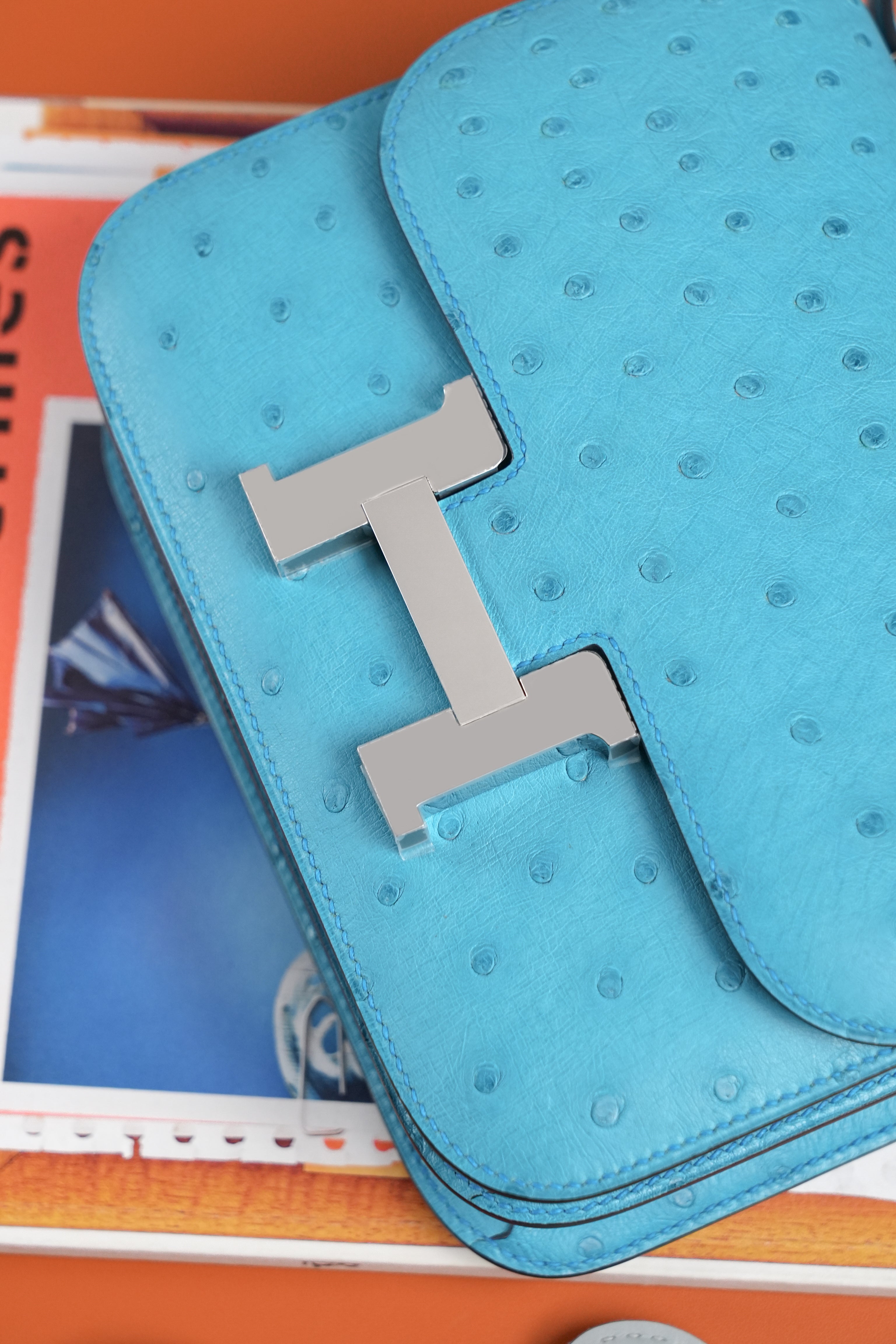 Constance- All Handmade Golden / Sliver Bleu Azteque Ostrich  leather