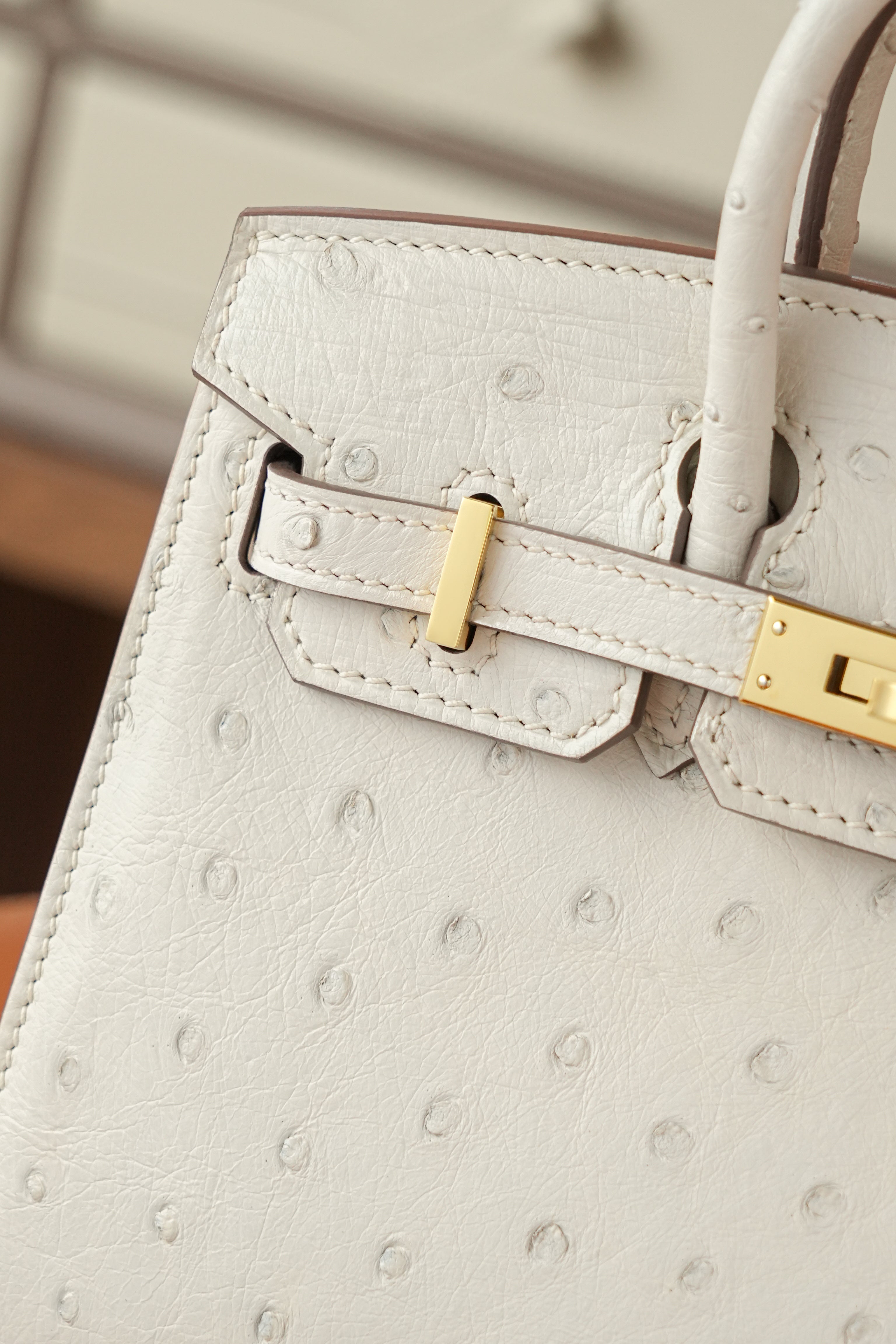 BK-2024 All Handmade Golden / Sliver Hardware Craie ostrich leather