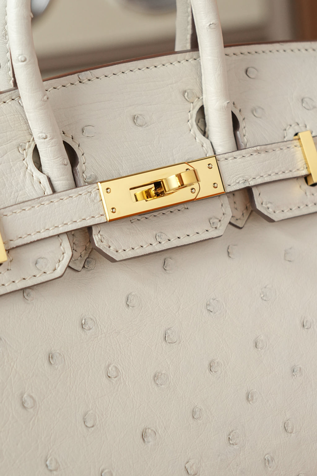 BK-2024 All Handmade Golden / Sliver Hardware Craie ostrich leather