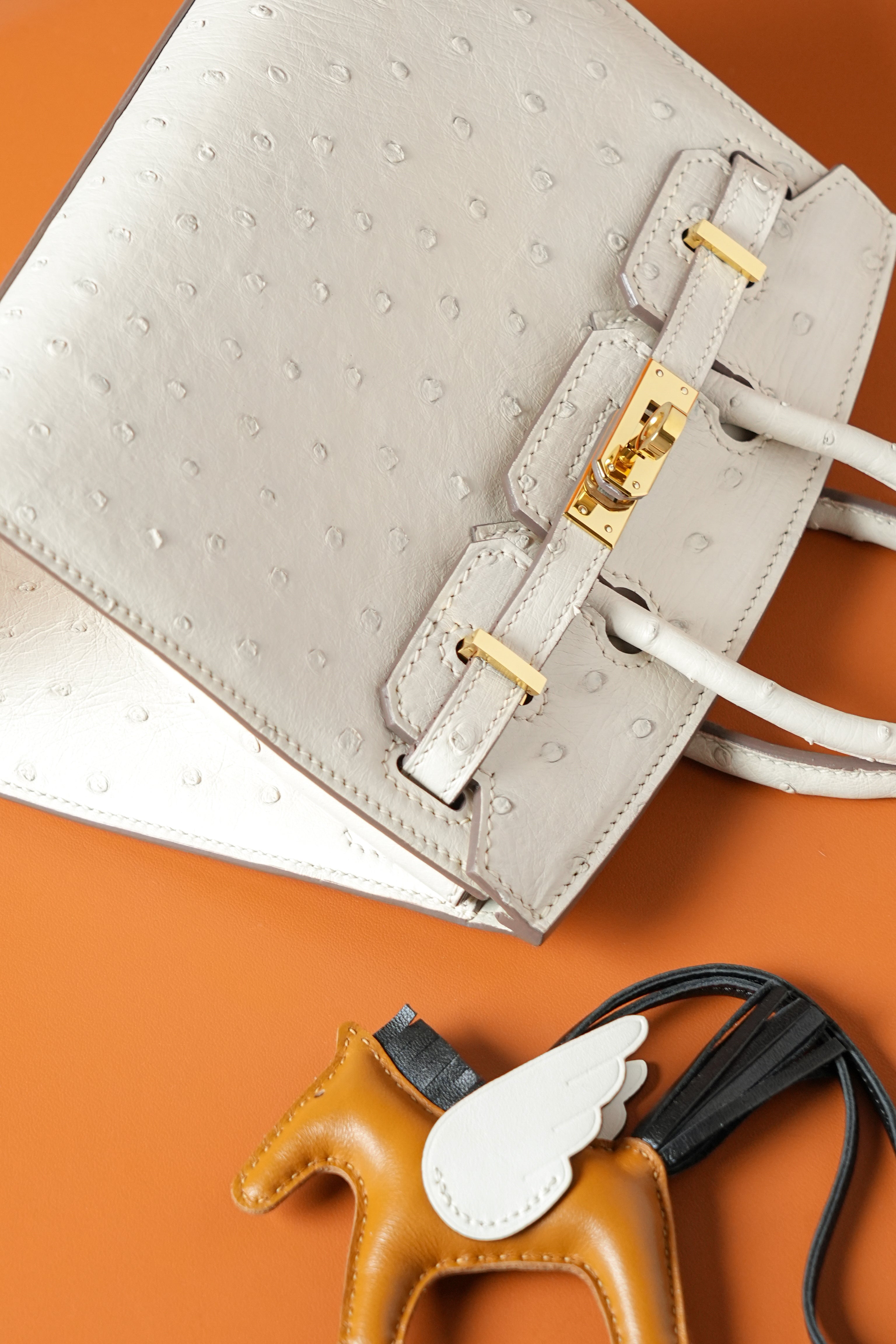 BK-2024 All Handmade Golden / Sliver Hardware Craie ostrich leather