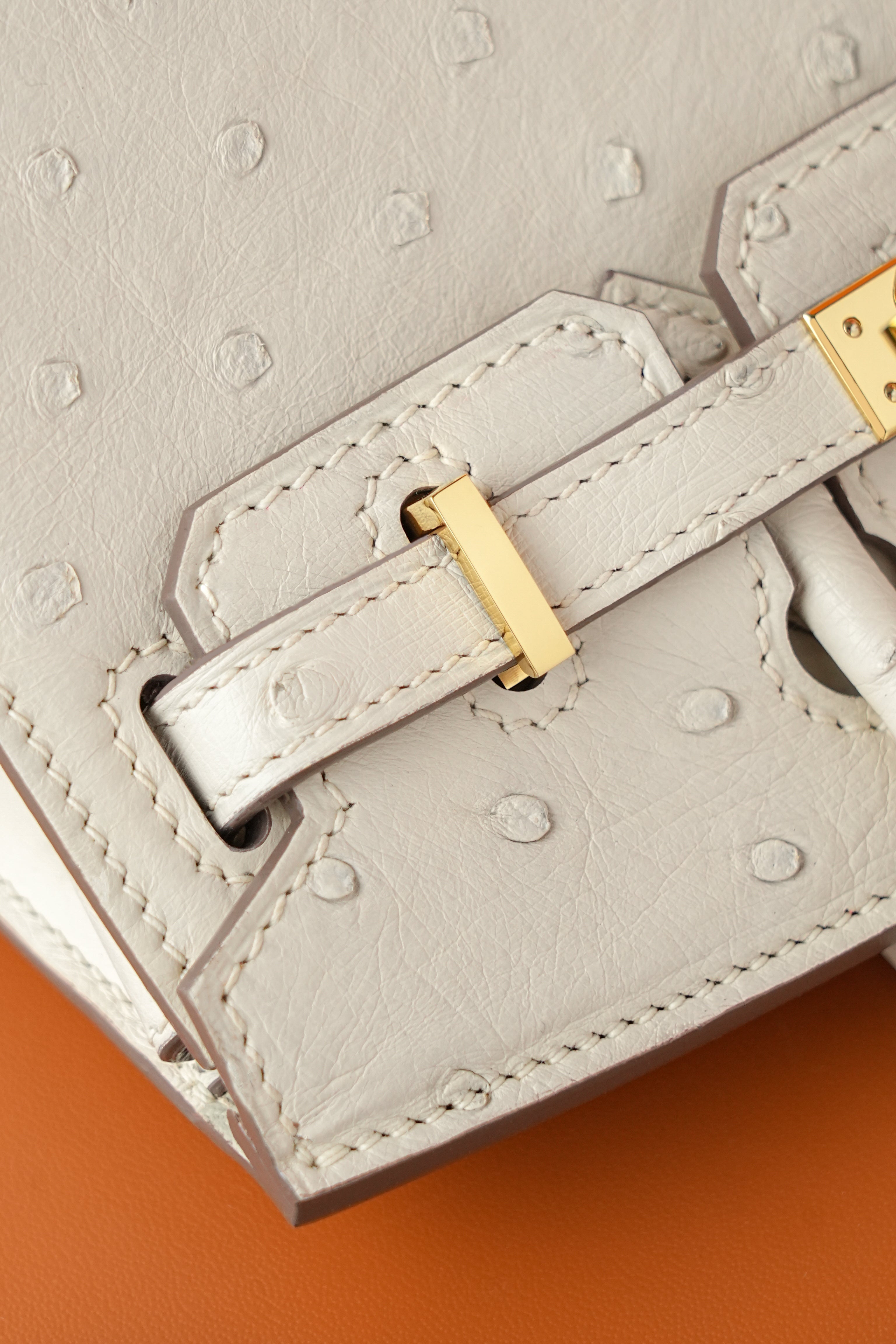 BK-2024 All Handmade Golden / Sliver Hardware Craie ostrich leather