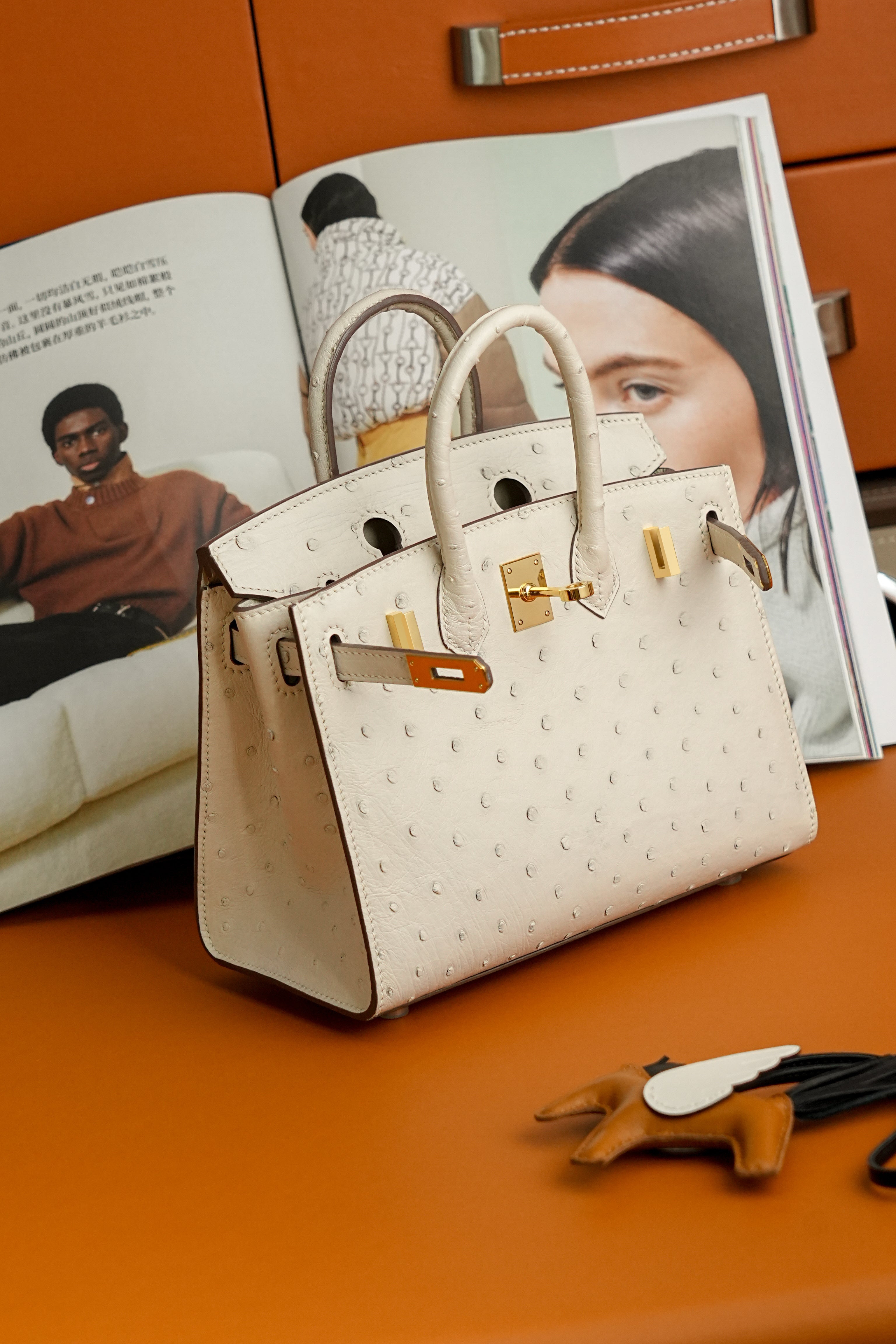 BK-2024 All Handmade Golden / Sliver Hardware Craie ostrich leather