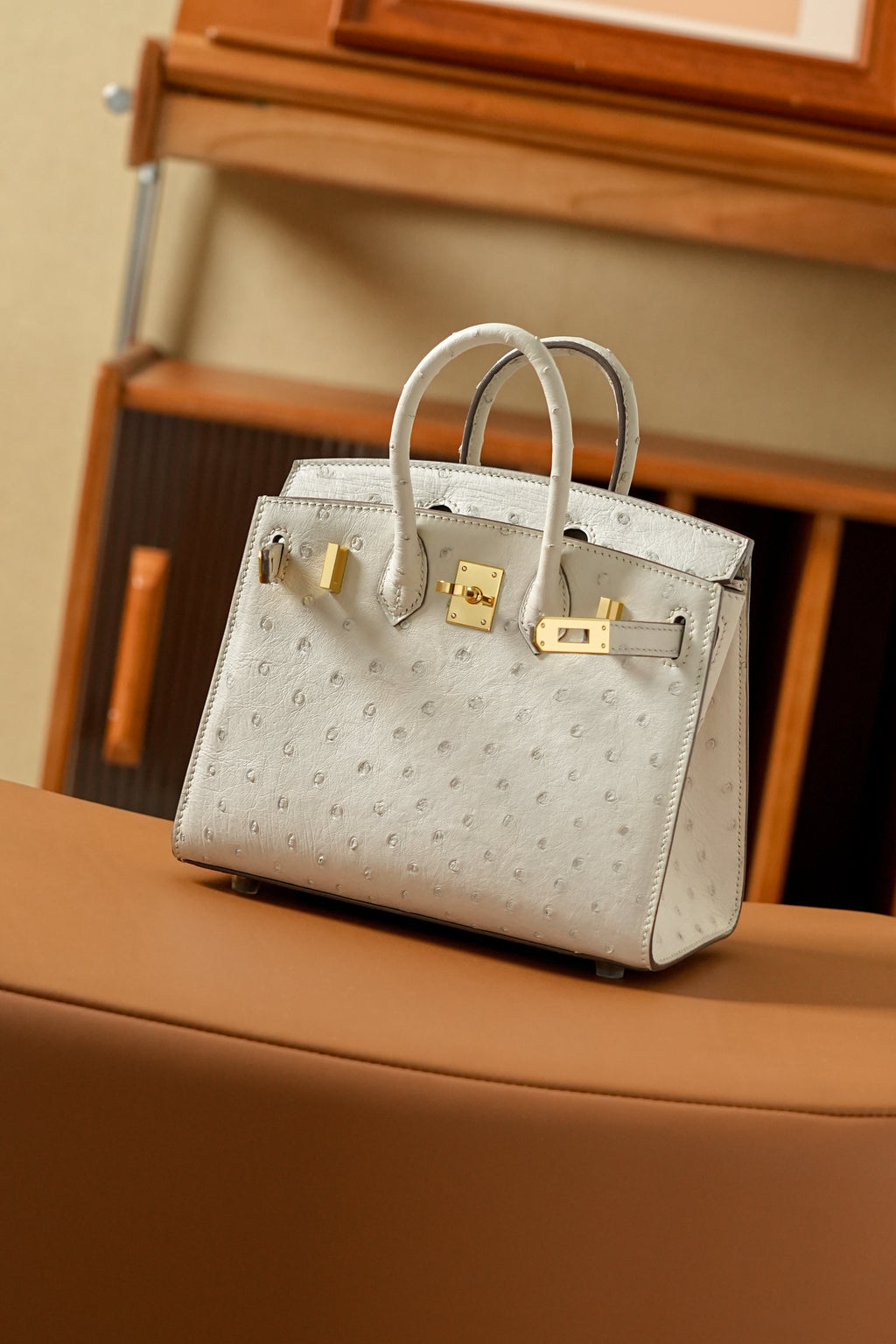 BK-2024 All Handmade Golden / Sliver Hardware Craie ostrich leather