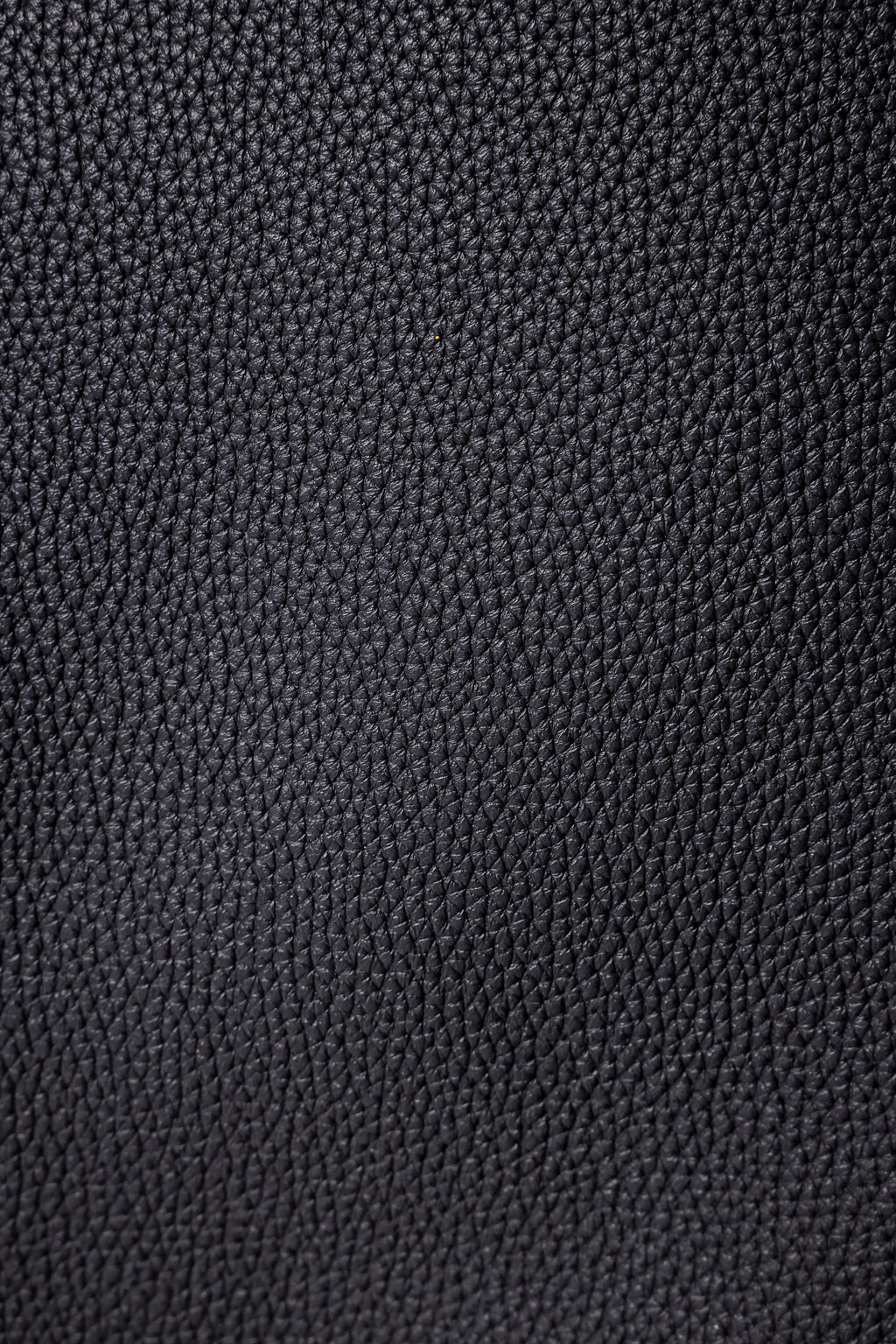 Birkin- All Handmade Golden / Sliver Noir  togo leather