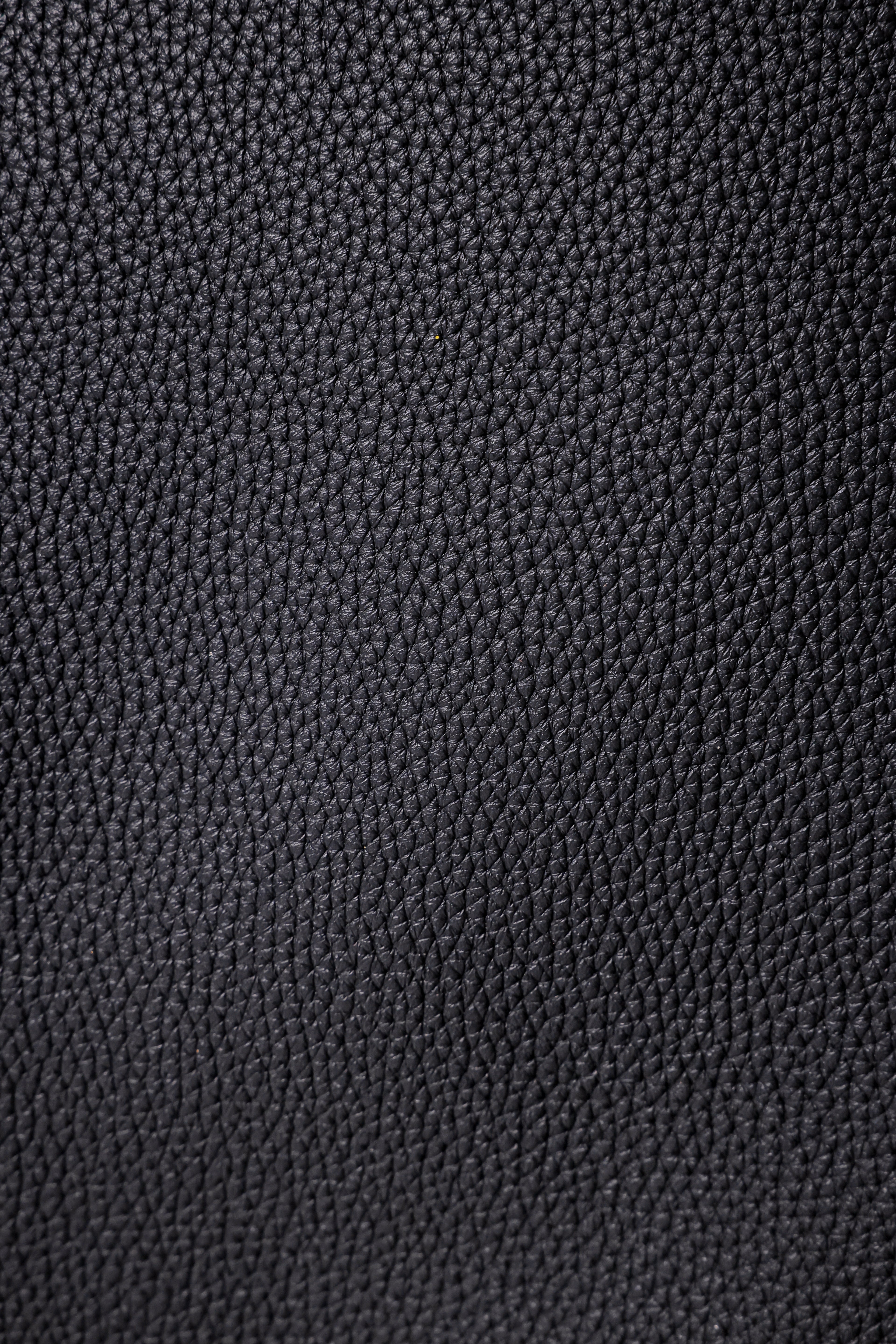 Birkin- All Handmade Golden / Sliver Noir  togo leather