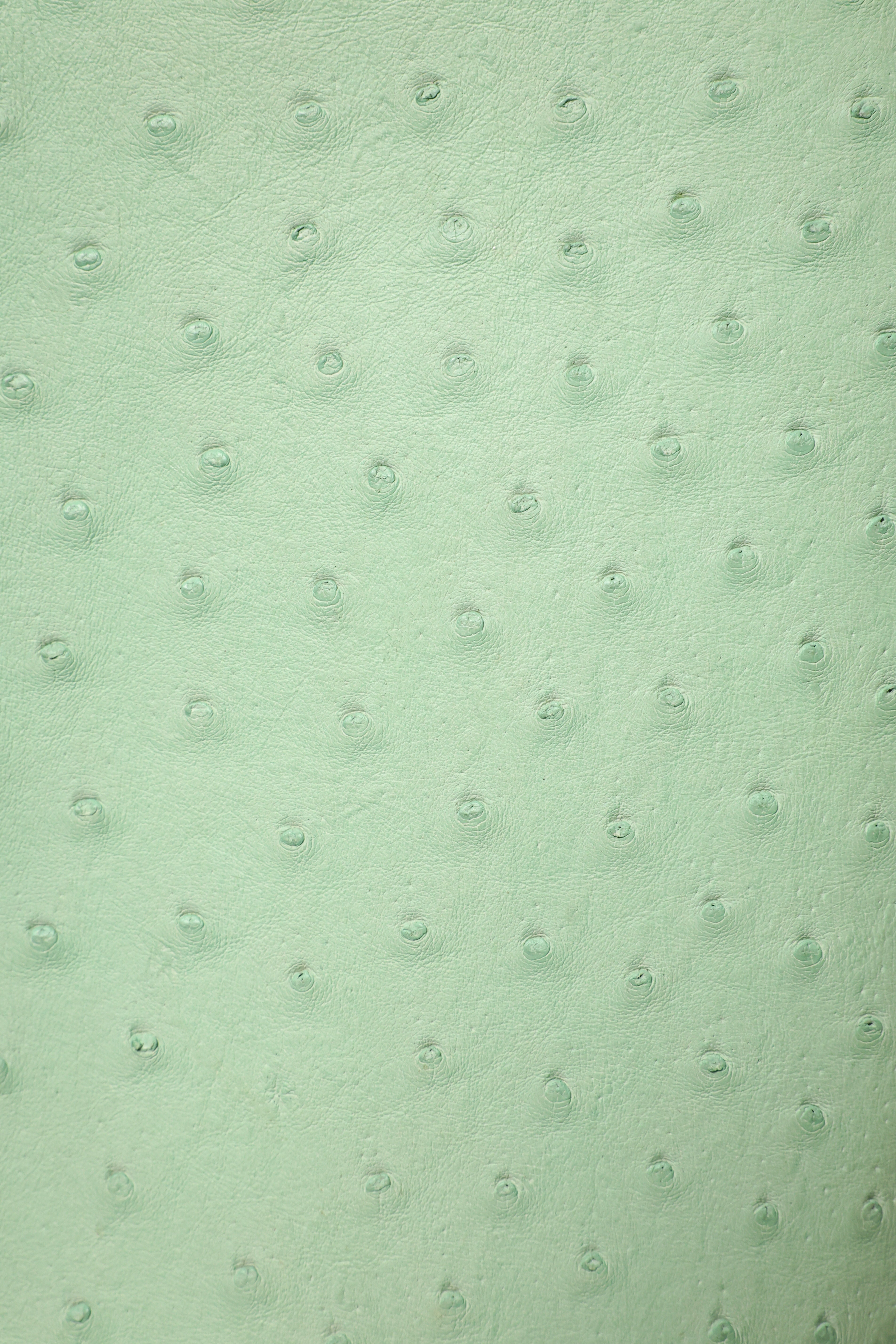 Birkin- All Handmade Golden / Sliver  Avocado green Ostrich leather