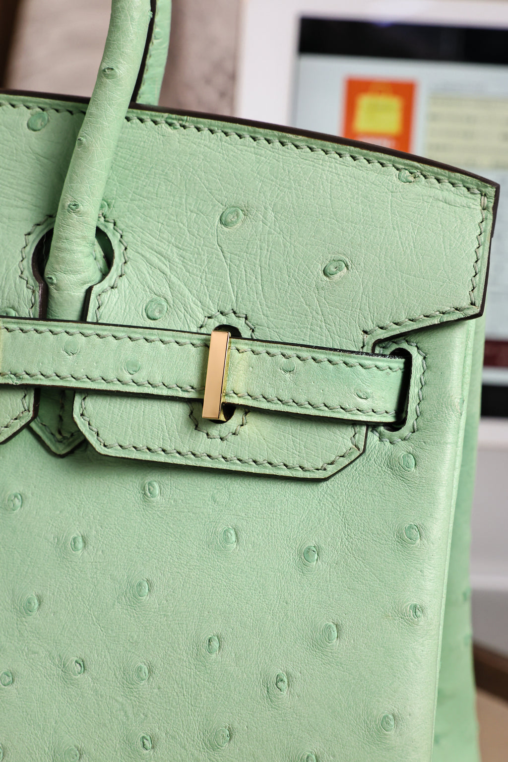 Birkin- All Handmade Golden / Sliver  Avocado green Ostrich leather