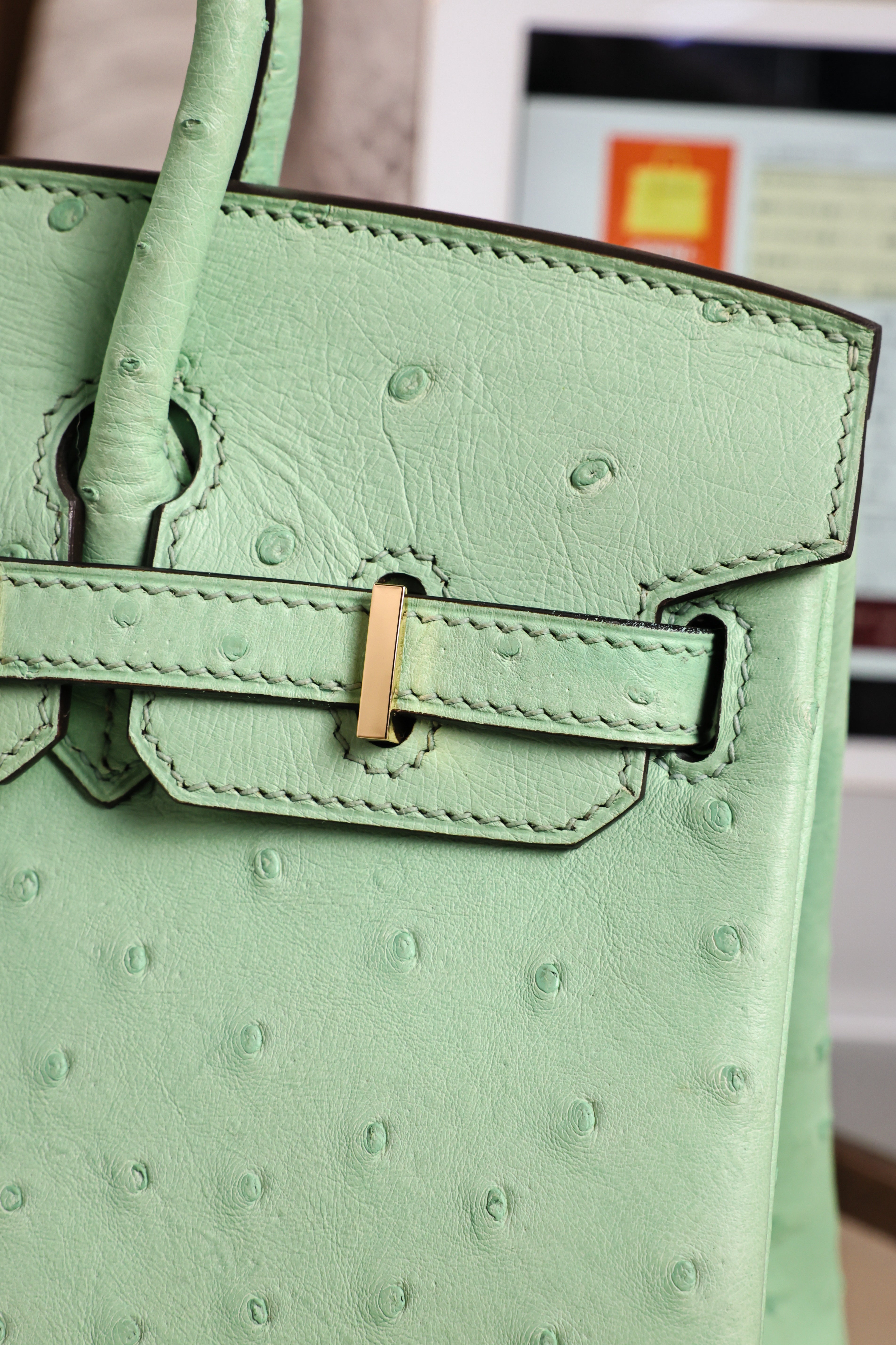 Birkin- All Handmade Golden / Sliver  Avocado green Ostrich leather