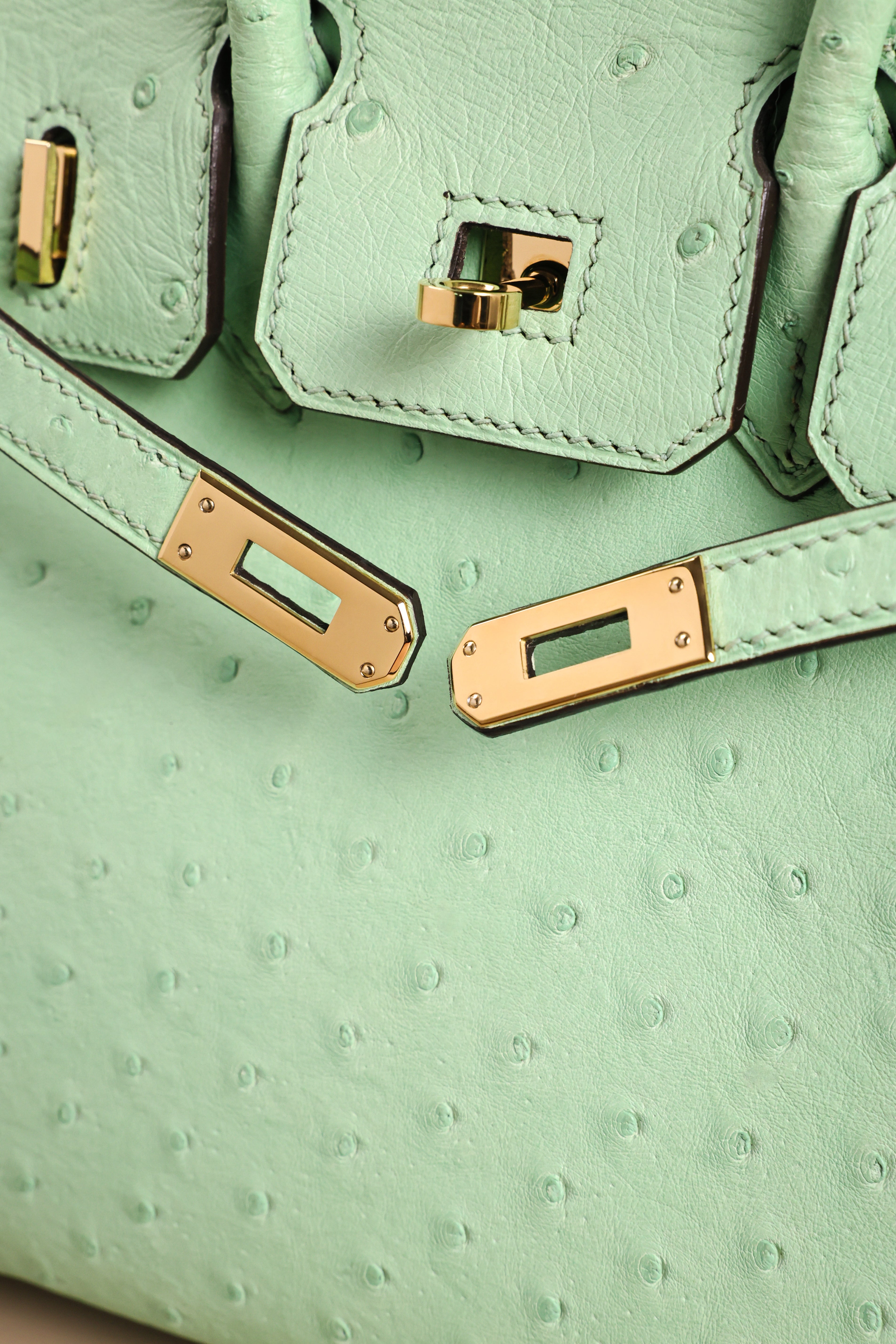 Birkin- All Handmade Golden / Sliver  Avocado green Ostrich leather