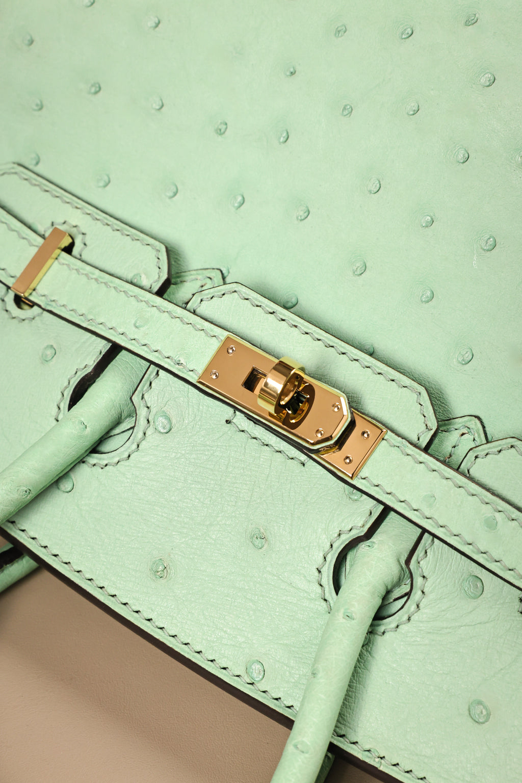 Birkin- All Handmade Golden / Sliver  Avocado green Ostrich leather