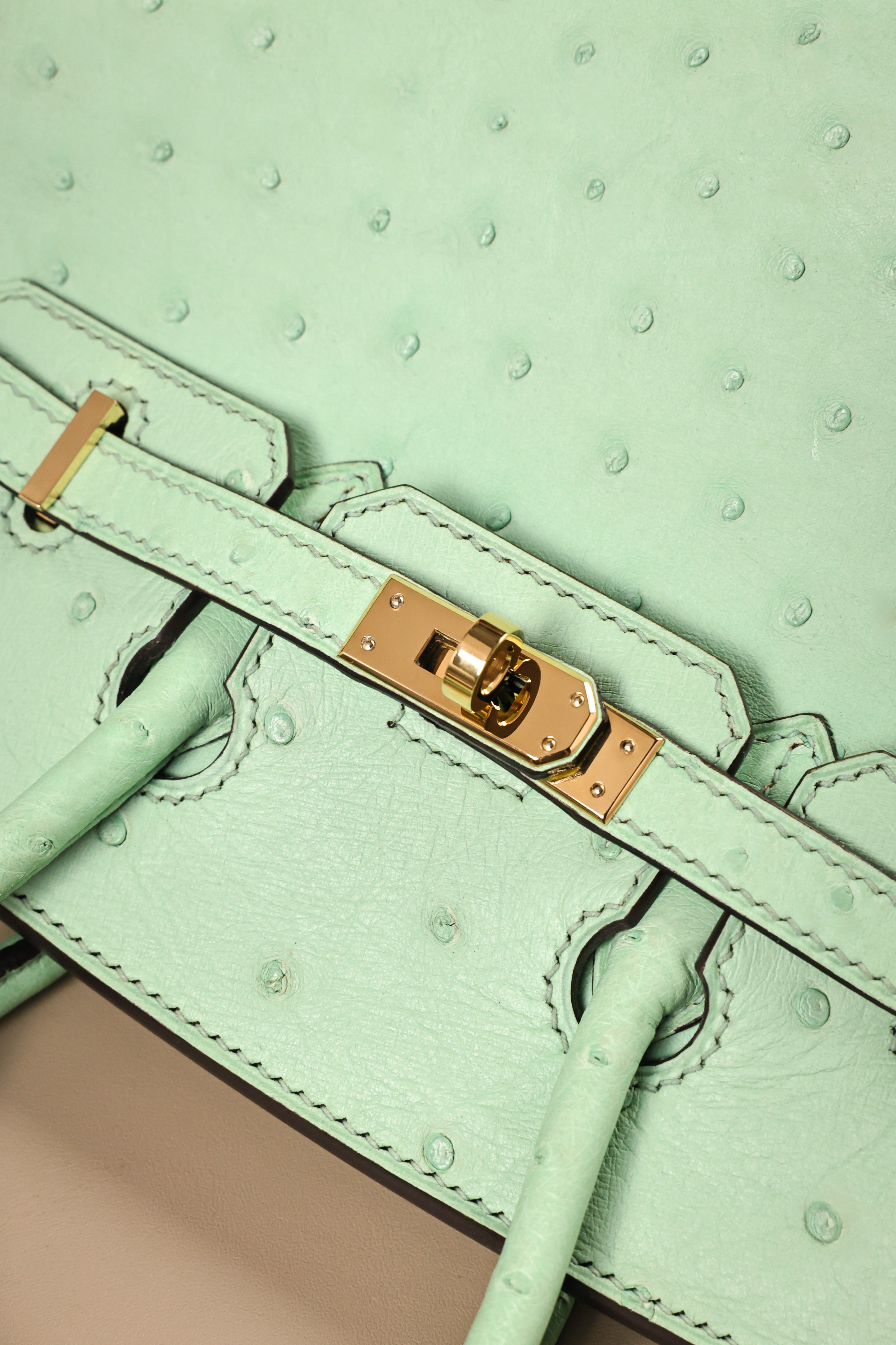 Birkin- All Handmade Golden / Sliver  Avocado green Ostrich leather