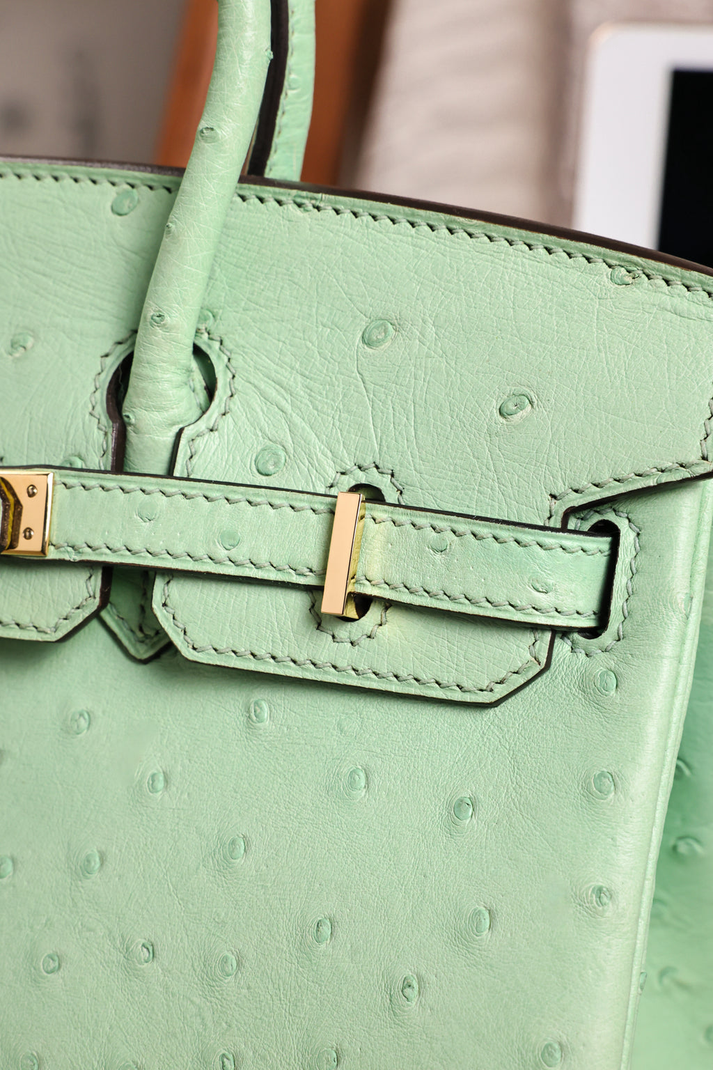 Birkin- All Handmade Golden / Sliver  Avocado green Ostrich leather