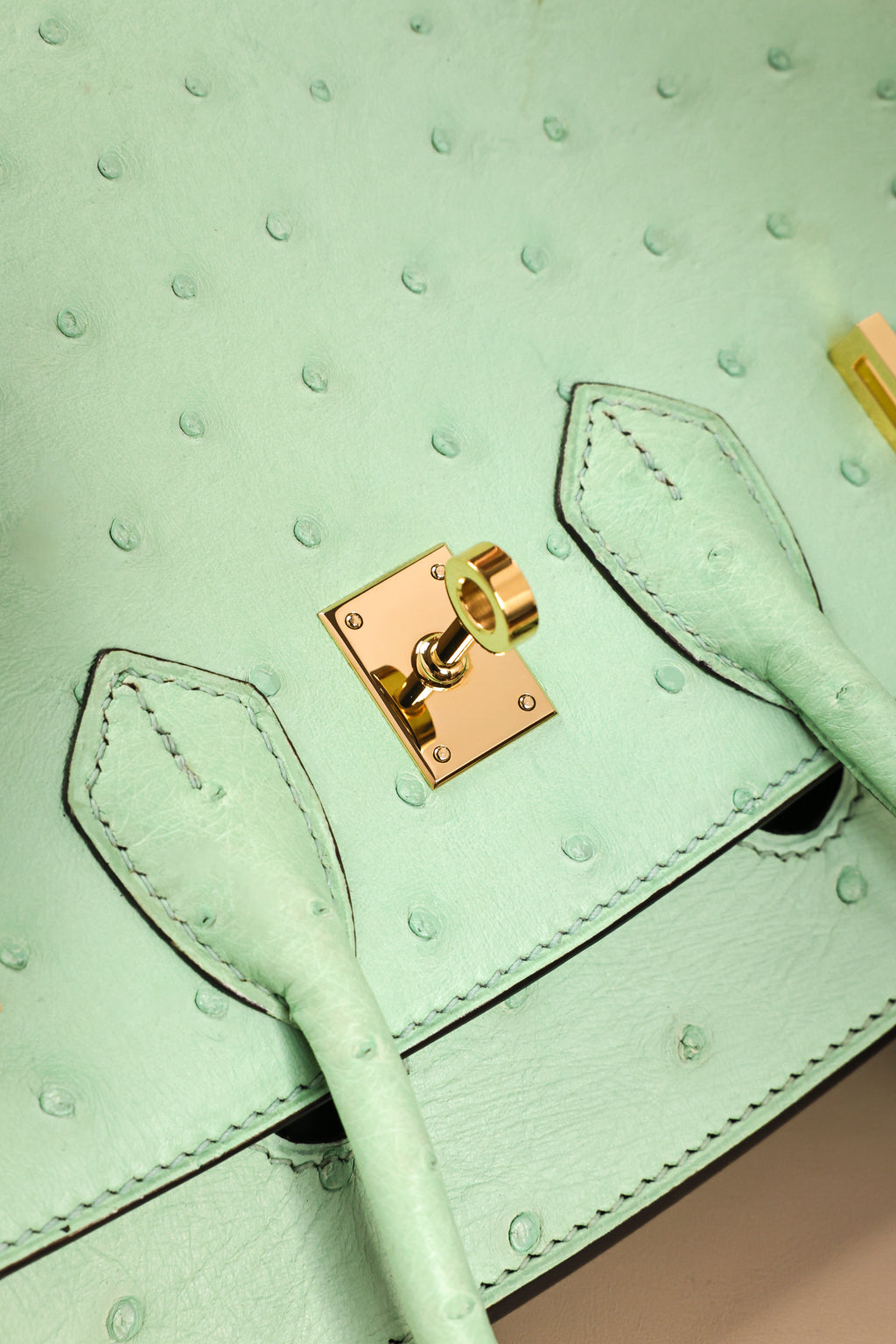 Birkin- All Handmade Golden / Sliver  Avocado green Ostrich leather