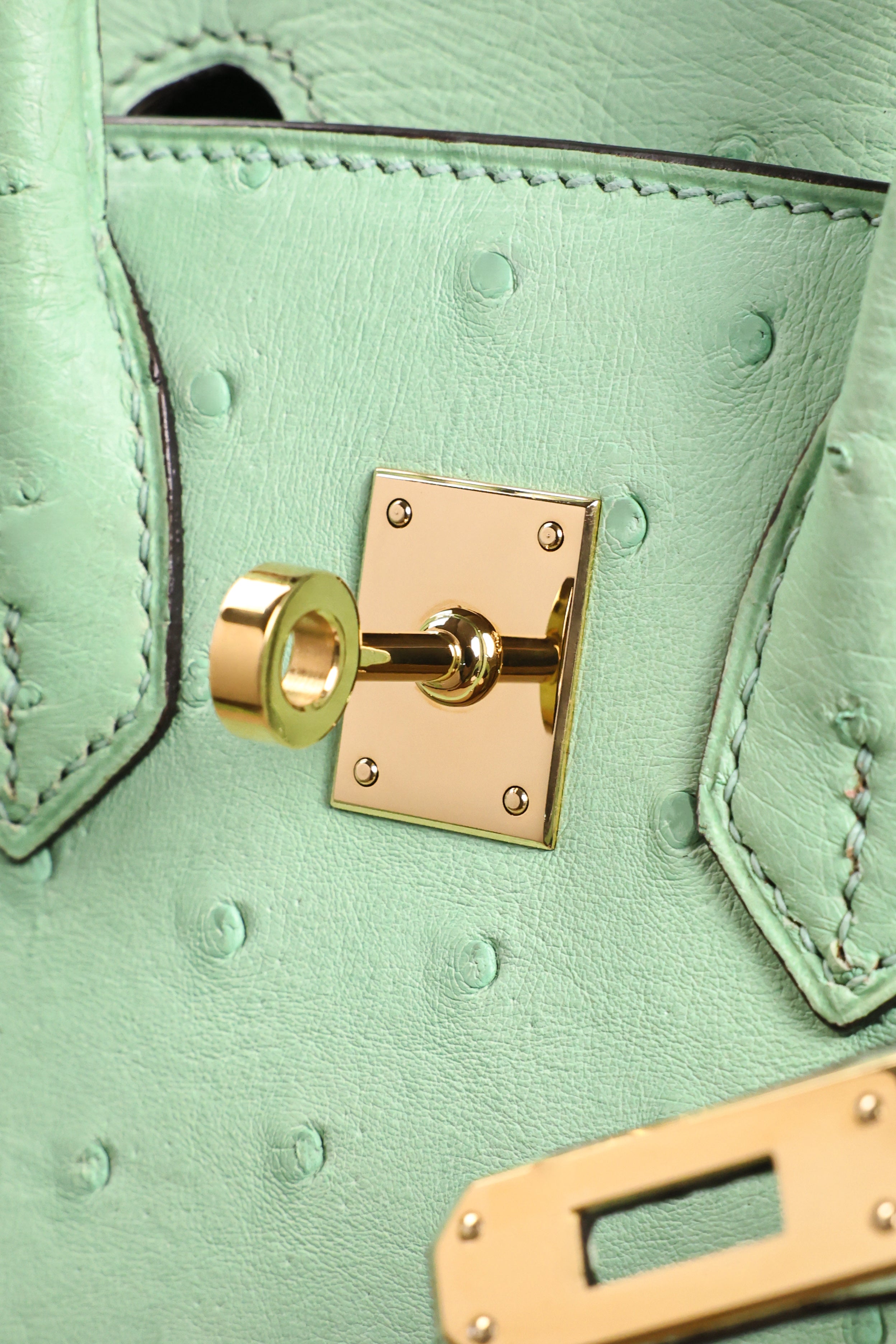 Birkin- All Handmade Golden / Sliver  Avocado green Ostrich leather