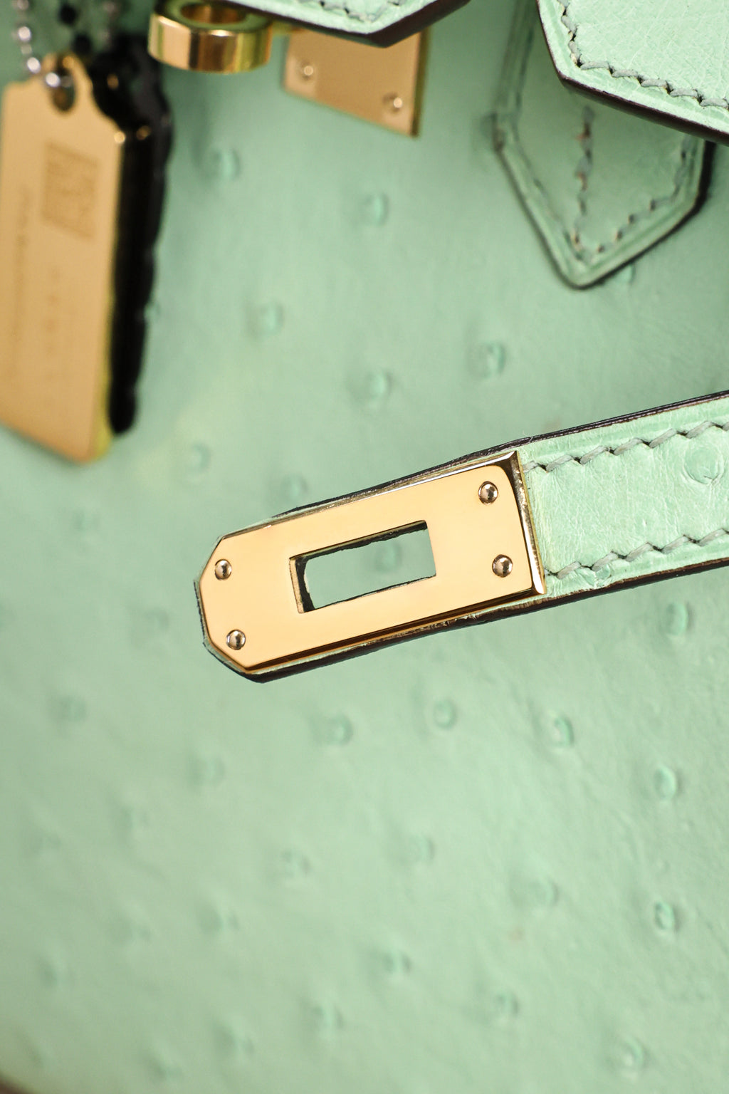 Birkin- All Handmade Golden / Sliver  Avocado green Ostrich leather