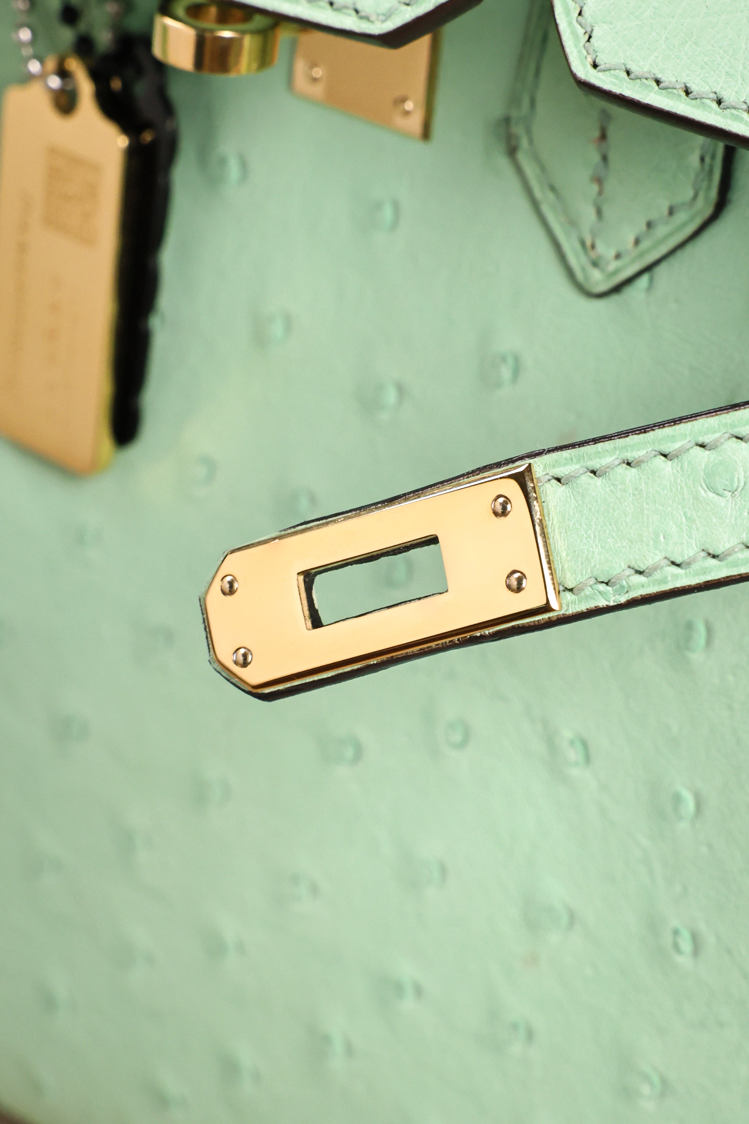 Birkin- All Handmade Golden / Sliver  Avocado green Ostrich leather