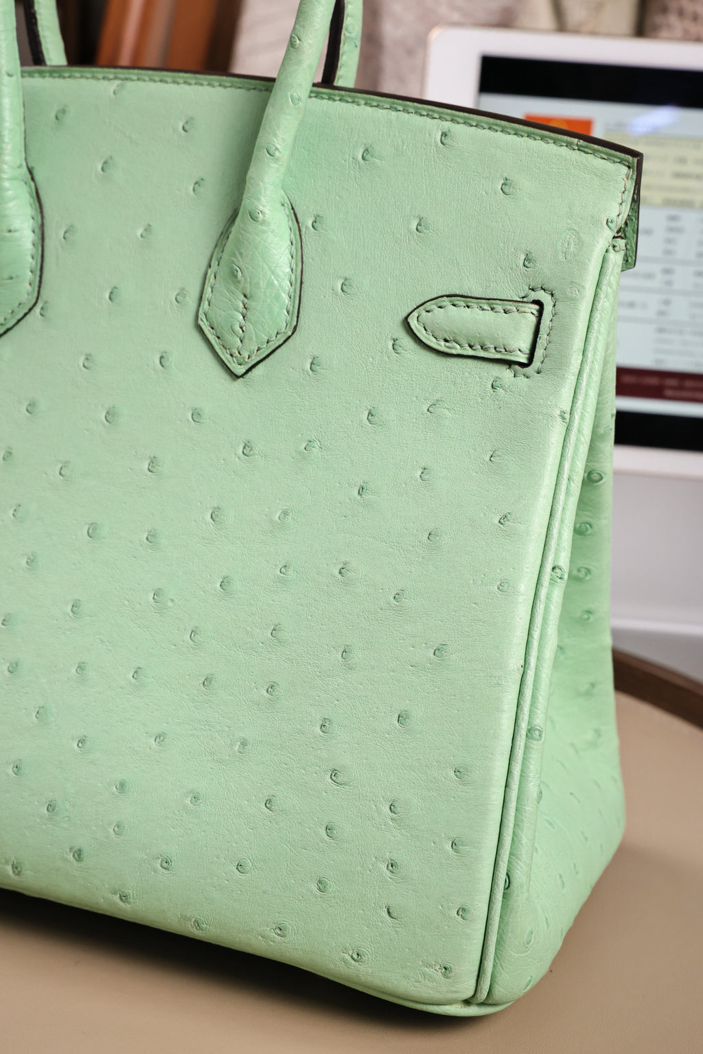 Birkin- All Handmade Golden / Sliver  Avocado green Ostrich leather