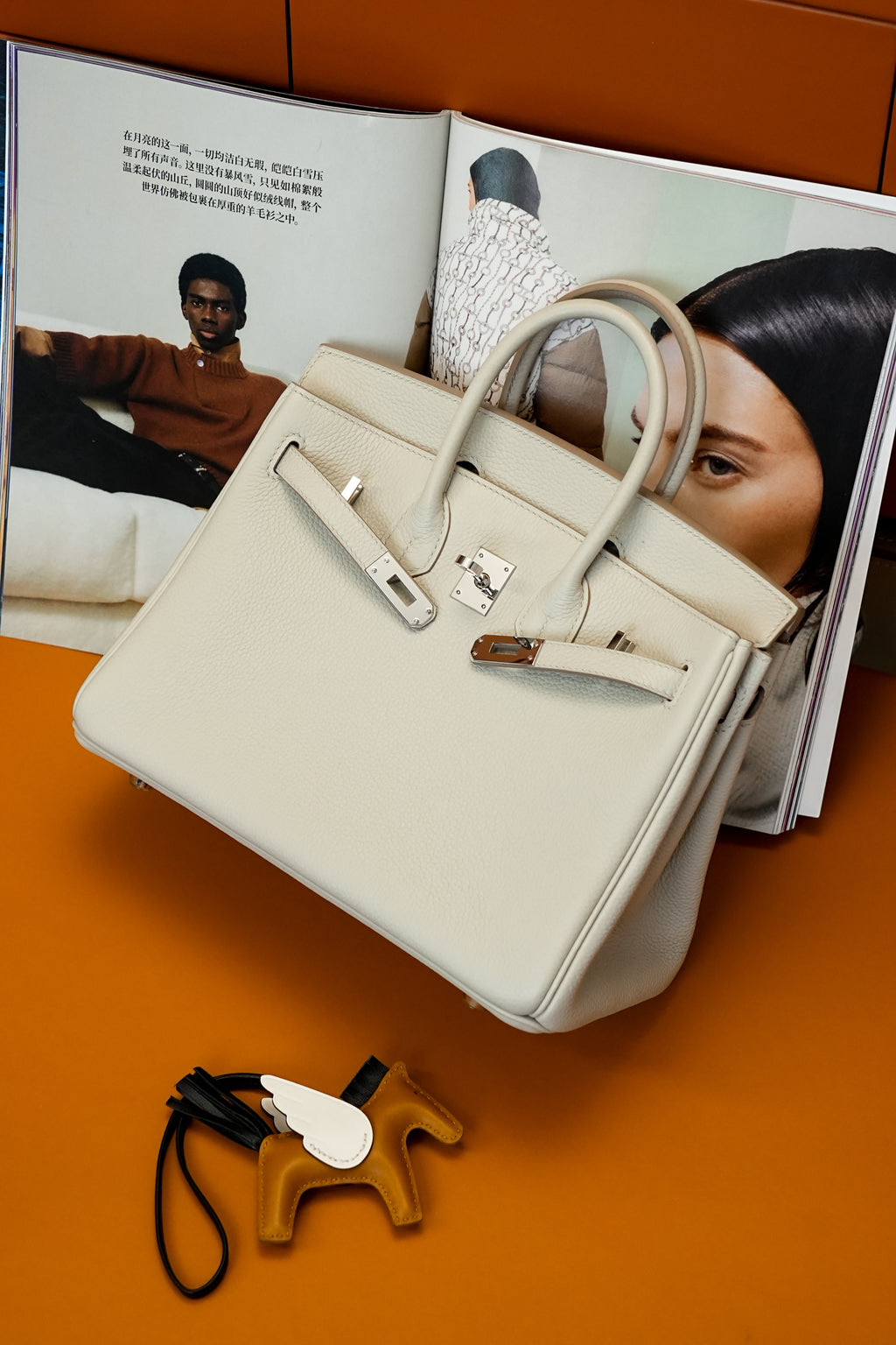 Birkin- All Handmade Golden / Sliver Craie  swift leather