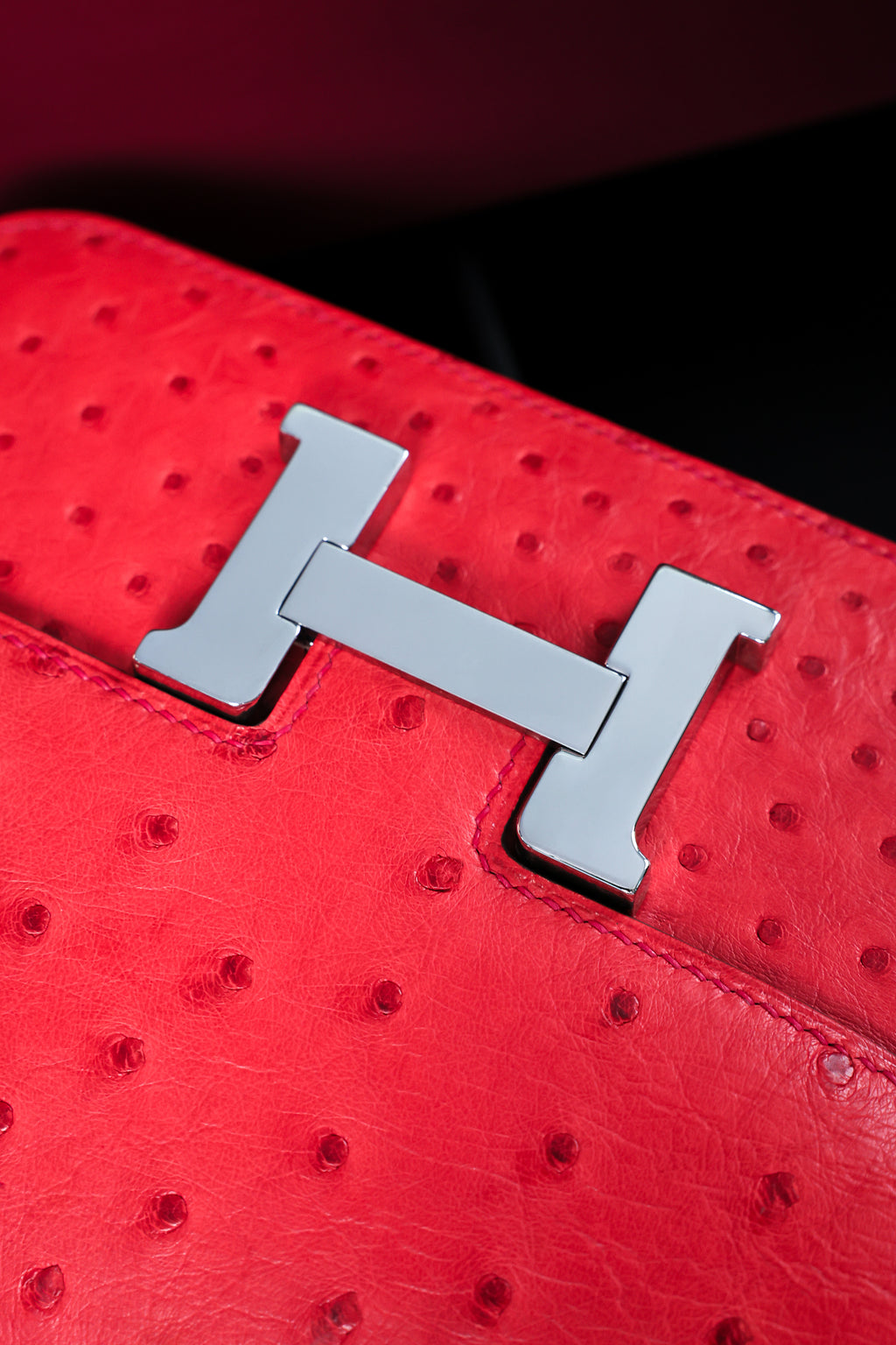 Constance- All Handmade Golden / Sliver Rouge Casaque Ostrich  leather