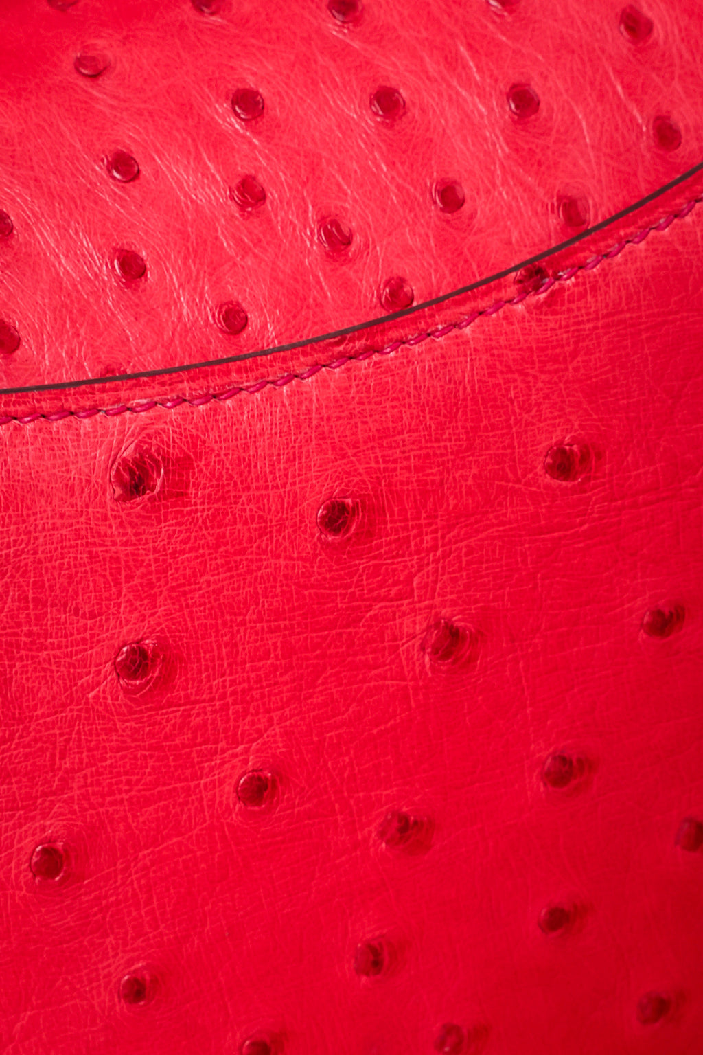 Constance- All Handmade Golden / Sliver Rouge Casaque Ostrich  leather