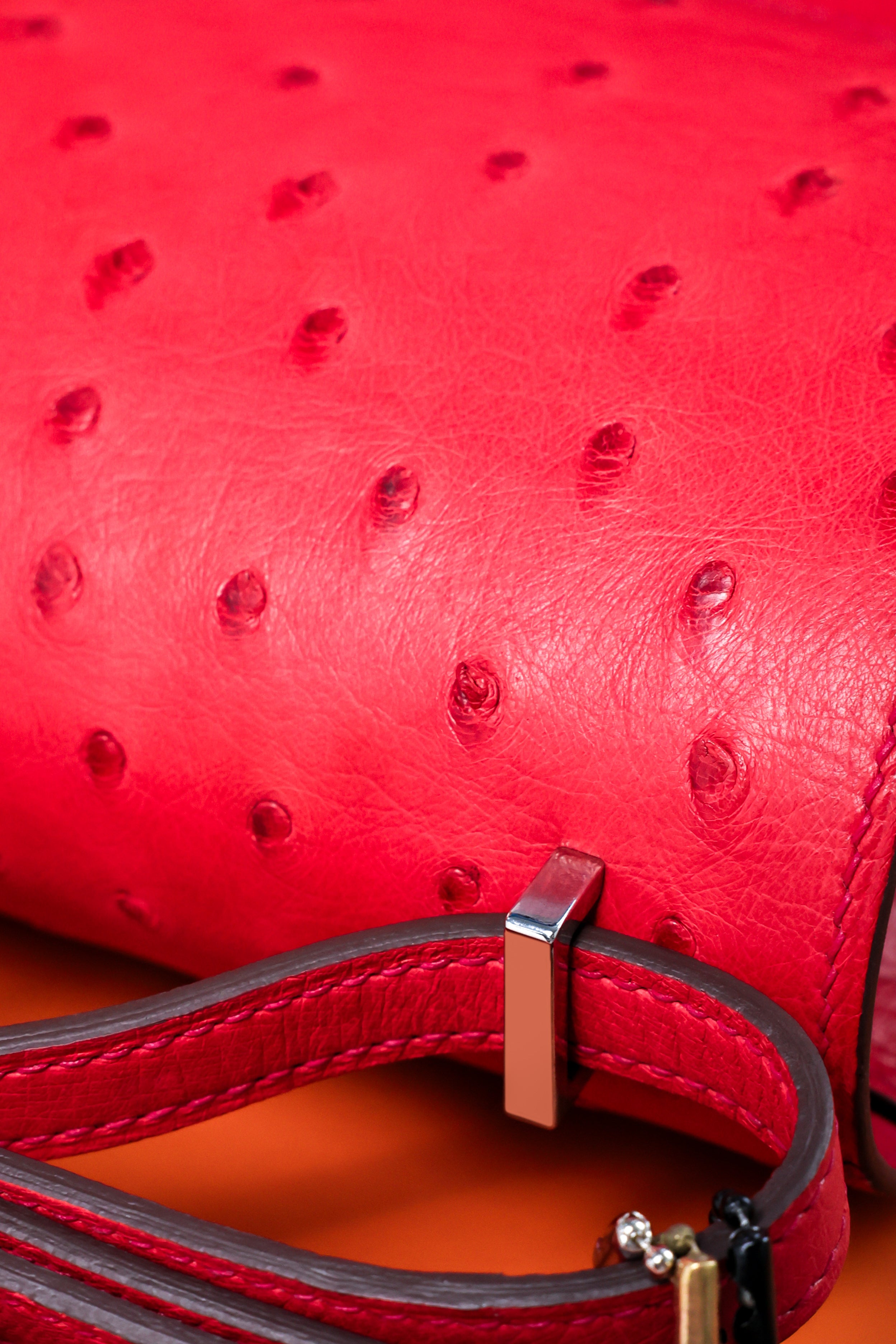 Constance- All Handmade Golden / Sliver Rouge Casaque Ostrich  leather