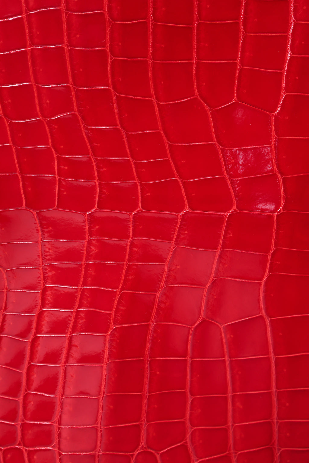 BK-2024 All Handmade Golden / Sliver Hardware Braise  Bright surface Porosus Crocodile leather