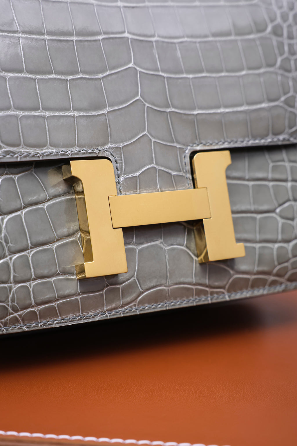 Constance- All Handmade Golden / Sliver Hardware   Cement ash Crocodile leather