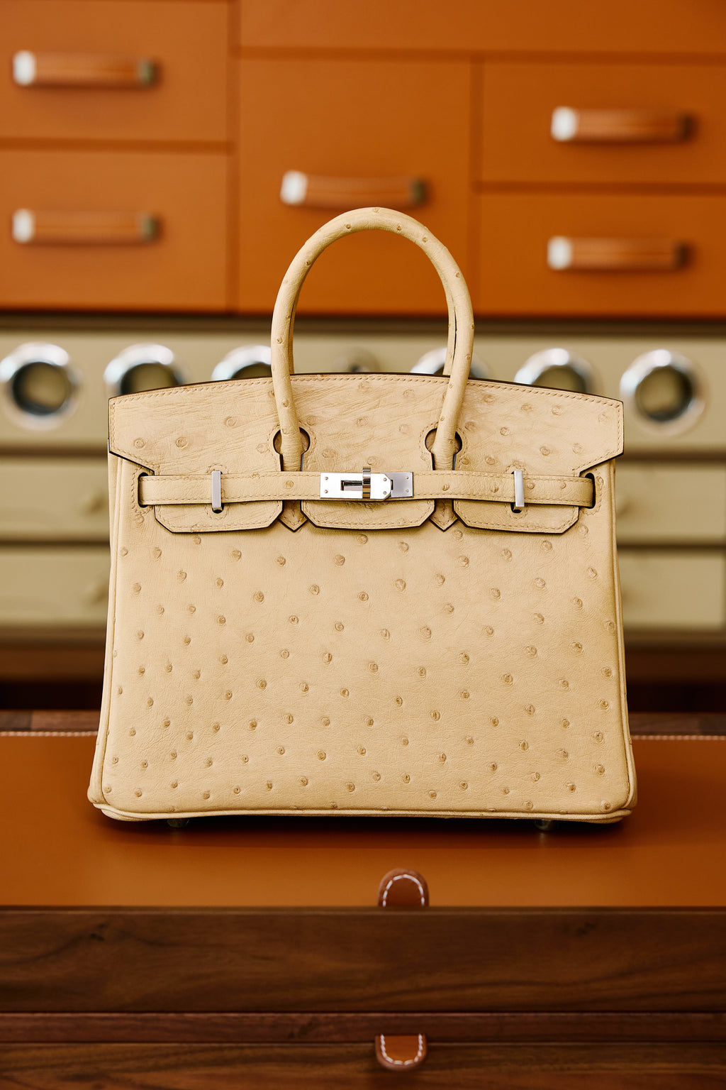 Birkin- All Handmade Golden / Sliver Chai  Ostrich leather