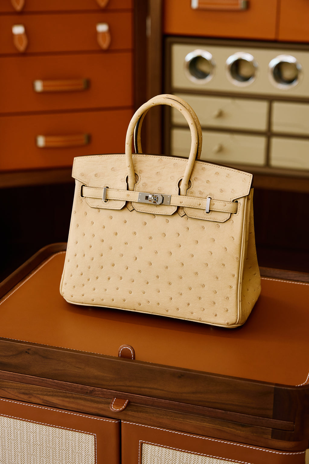 Birkin- All Handmade Golden / Sliver Chai  Ostrich leather