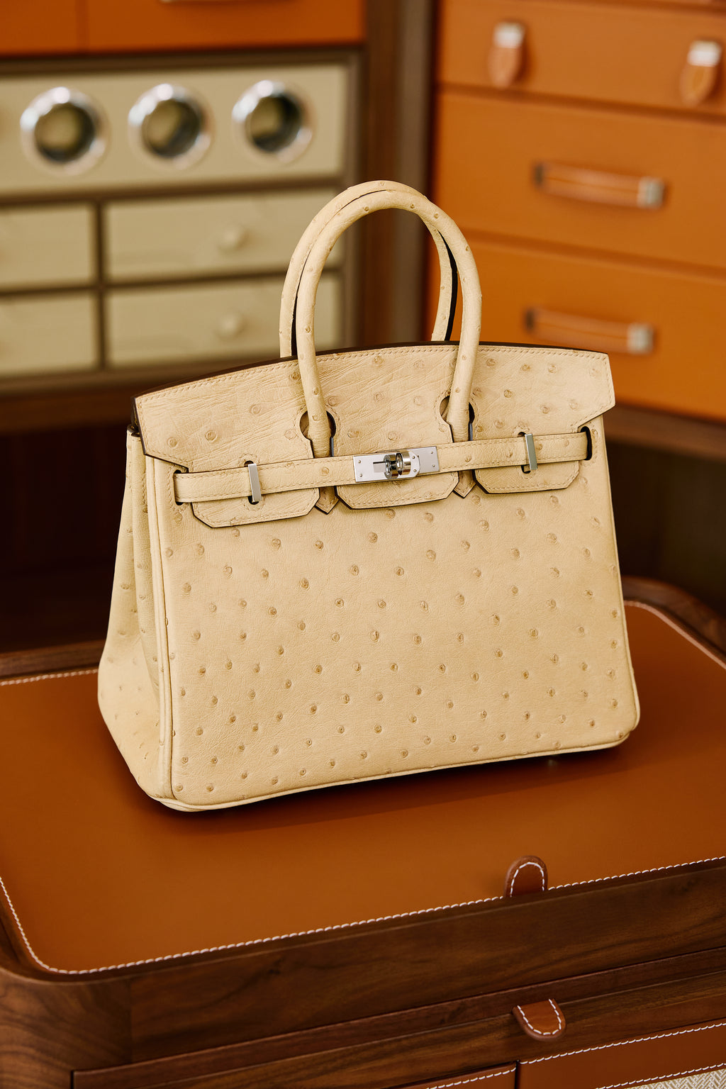 Birkin- All Handmade Golden / Sliver Chai  Ostrich leather
