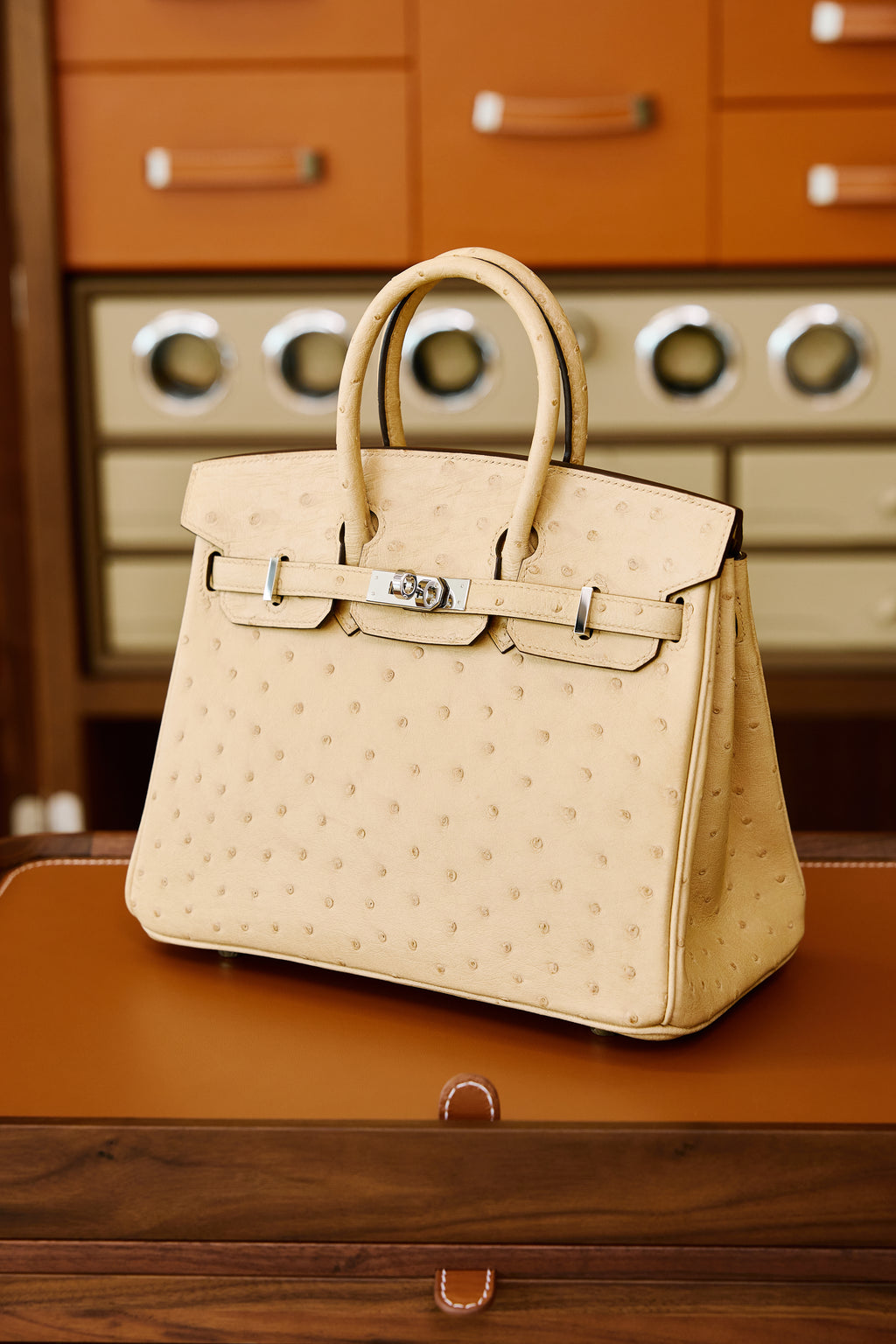 Birkin- All Handmade Golden / Sliver Chai  Ostrich leather