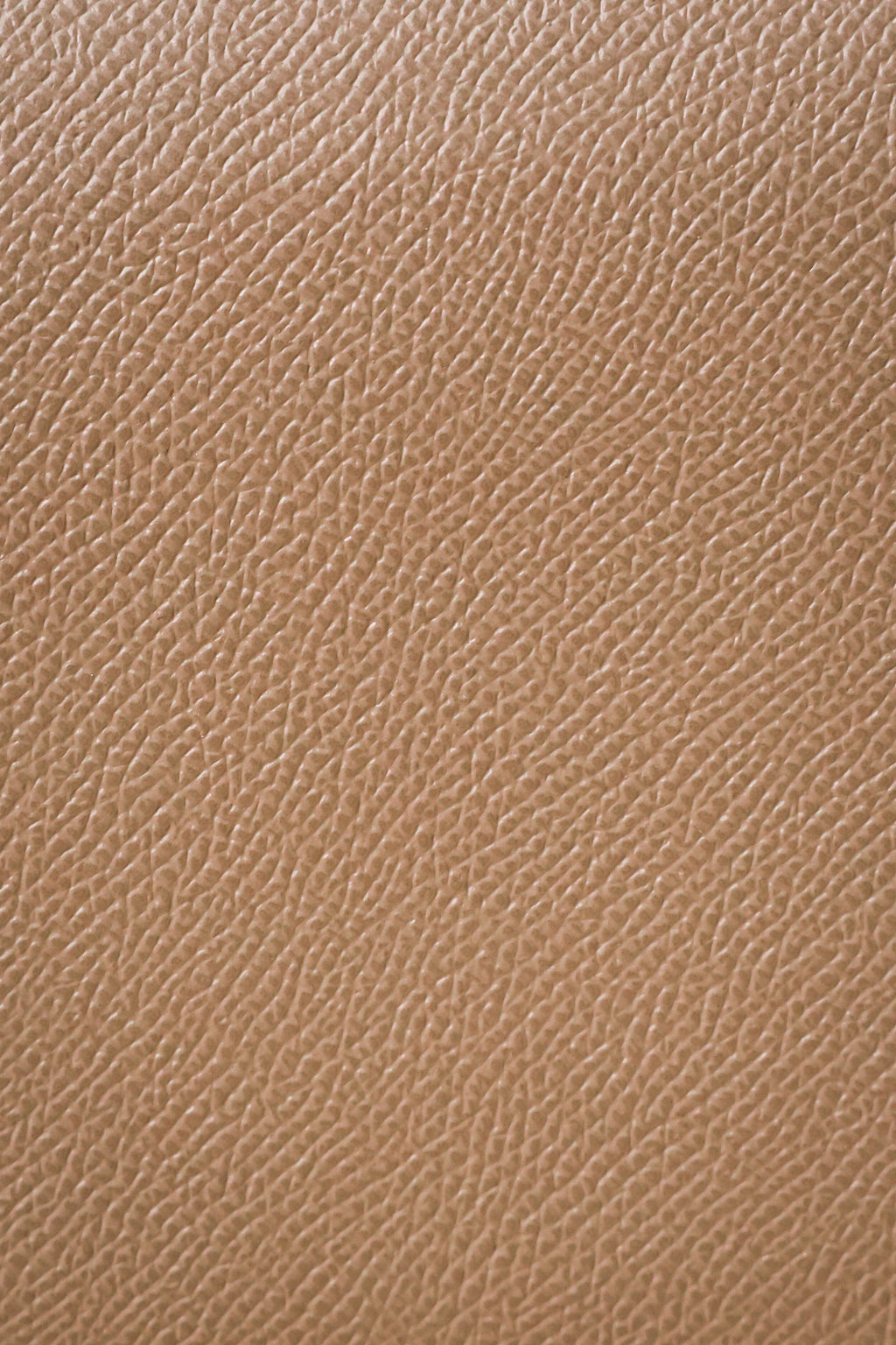 Constance- All Handmade Golden / Sliver Hardware Etoupe Ep eather