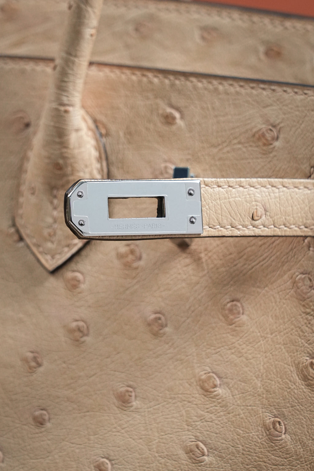 Birkin- All Handmade Golden / Sliver Chai  Ostrich leather