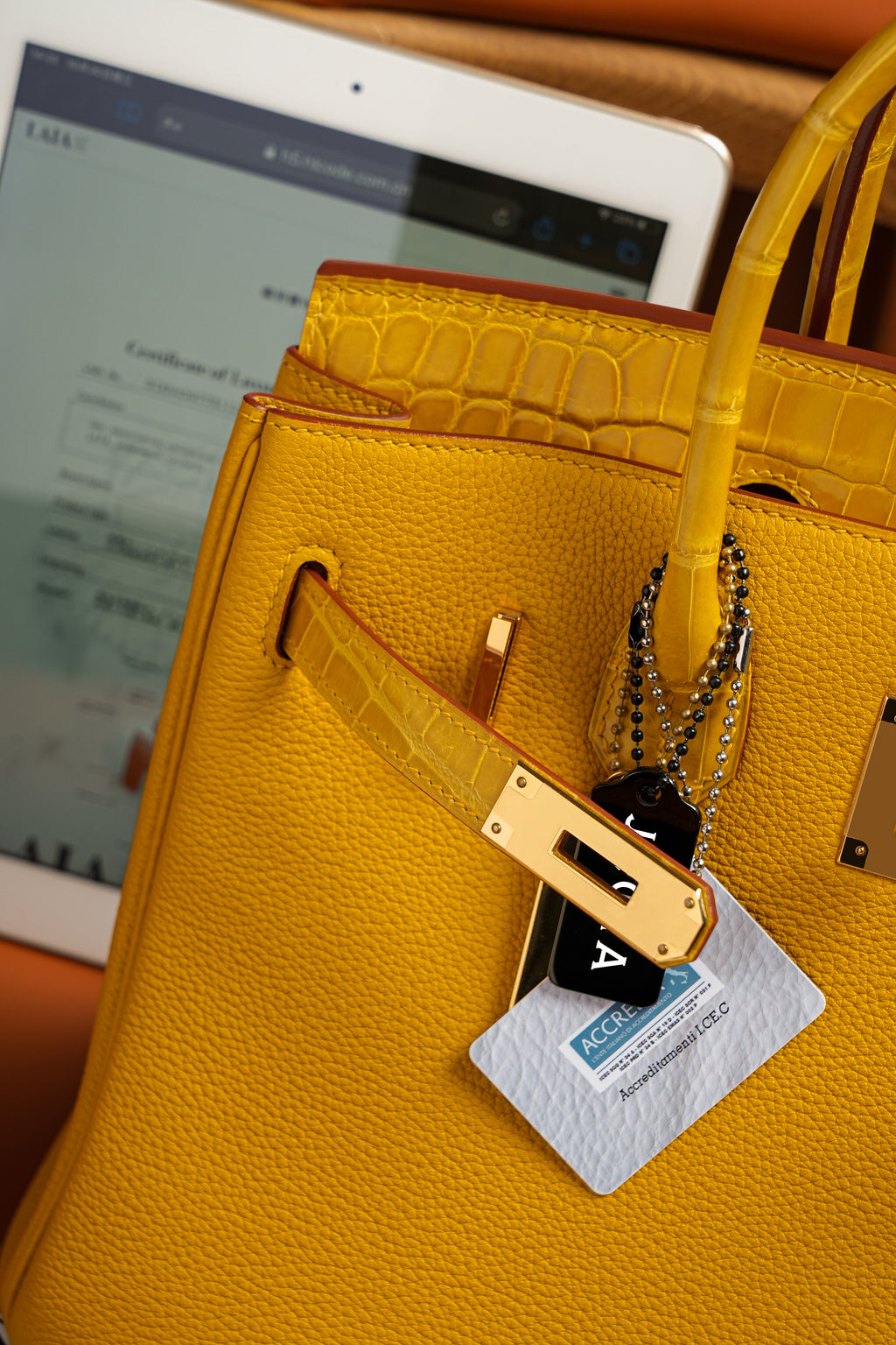 Birkin- All Handmade Golden / Sliver Amber yellow Crocodile/togo leather