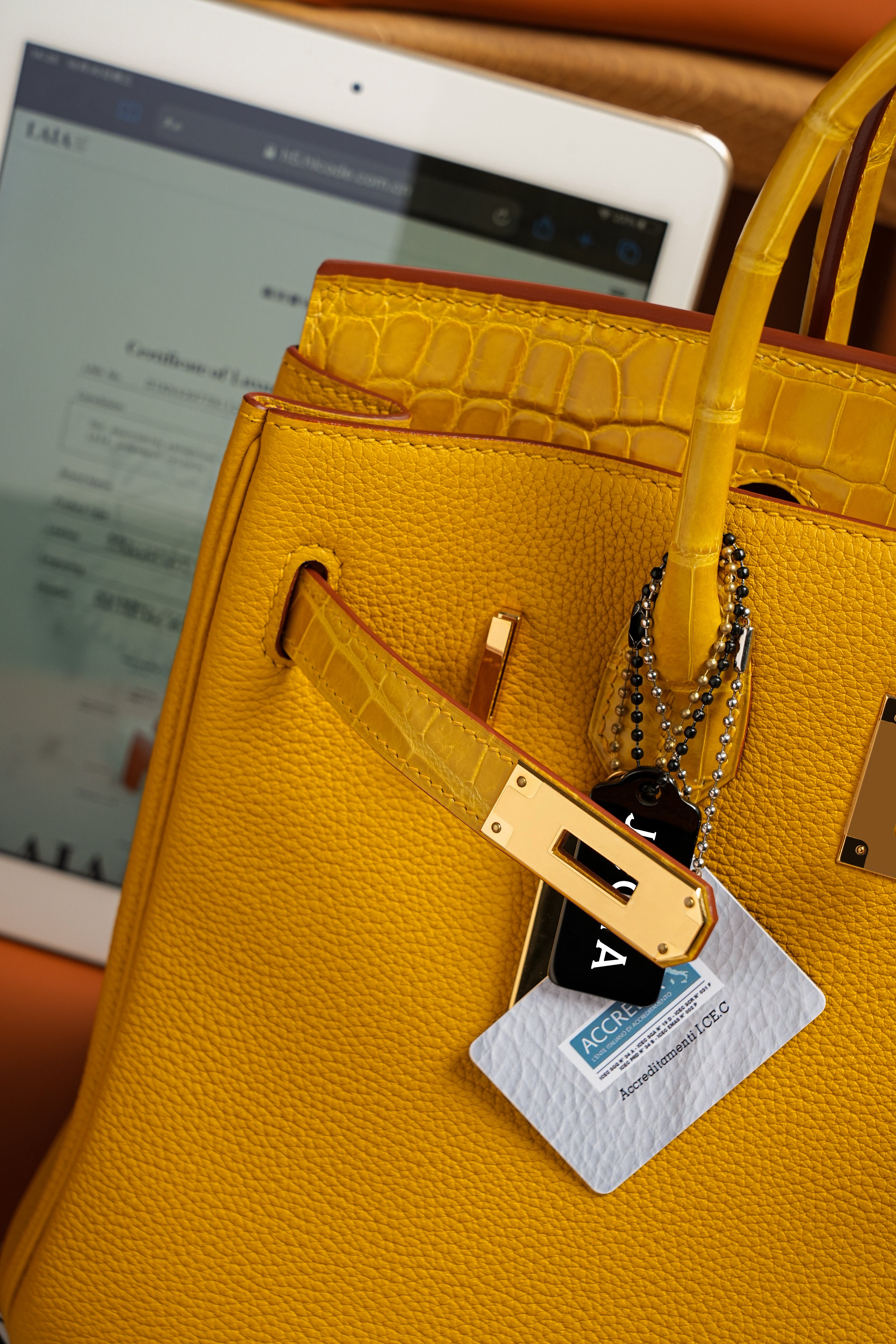 Birkin- All Handmade Golden / Sliver Amber yellow Crocodile/togo leather