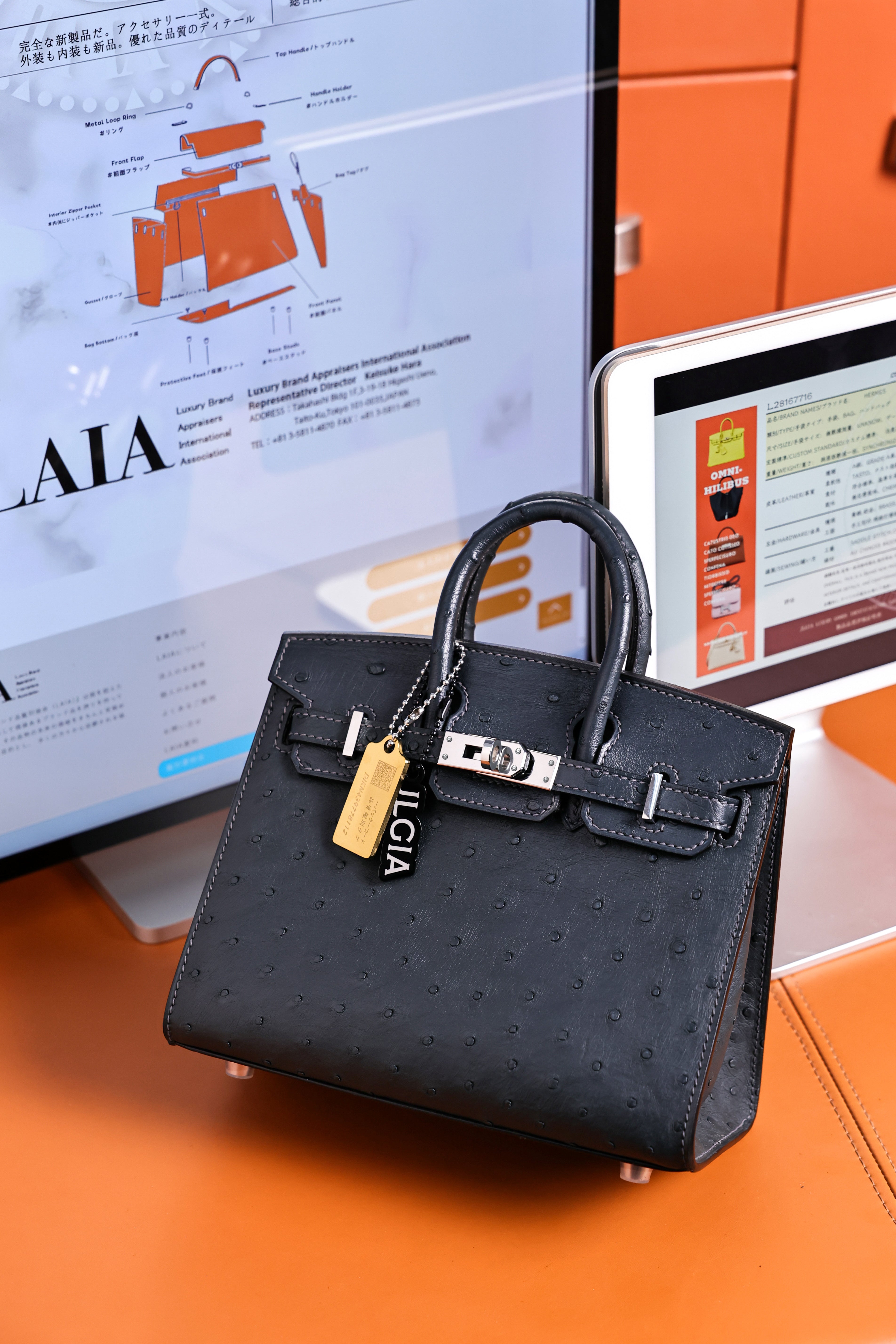 BK-2024 All Handmade Golden Hardware Graphite ostrich leather