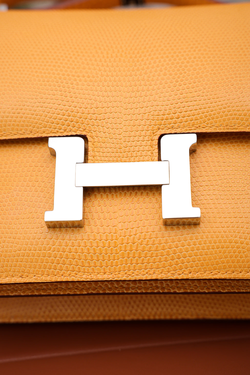 Constance- All Handmade Golden / Sliver Jaune d‘or lizard leather