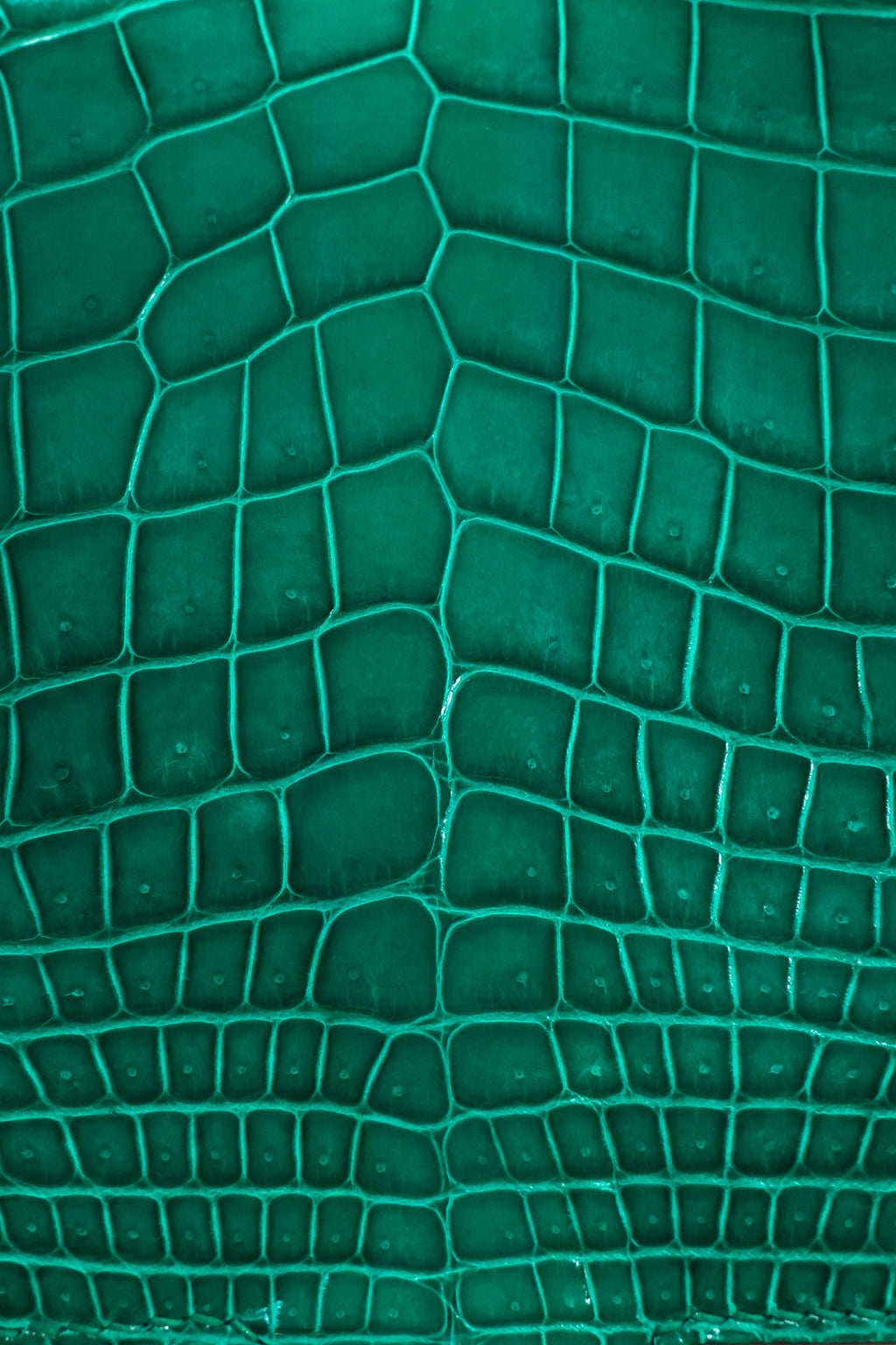 Constance- All Handmade Golden / Sliver Hardware Emerald green Crocodile leather