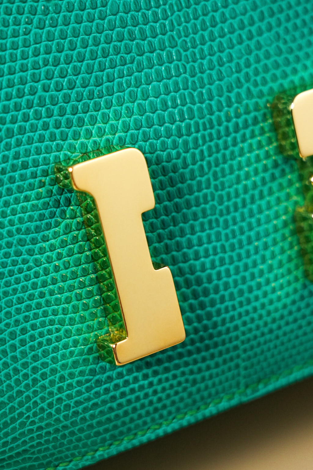 Constance- All Handmade Golden / Sliver Menthe lizard leather