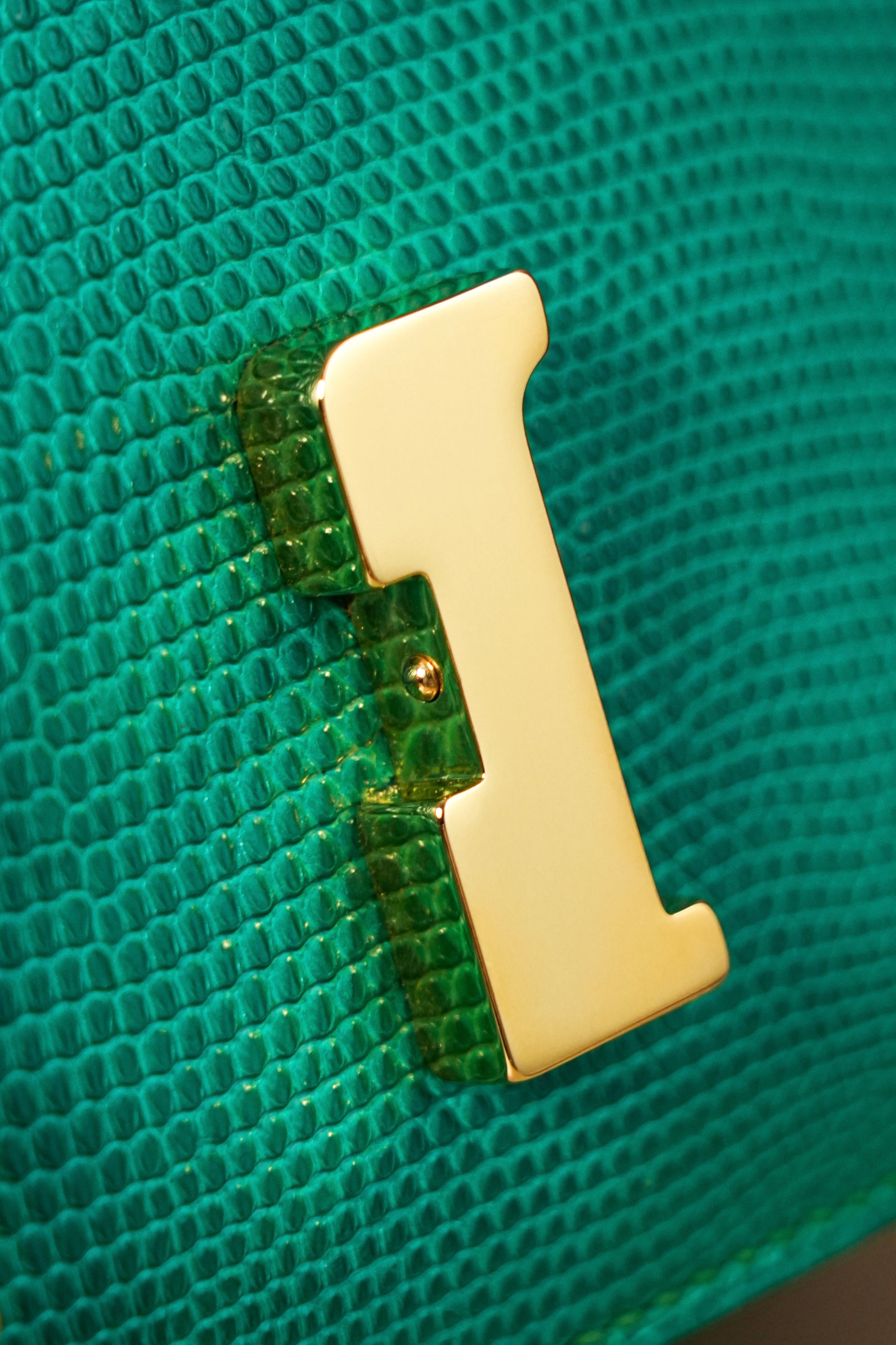 Constance- All Handmade Golden / Sliver Menthe lizard leather